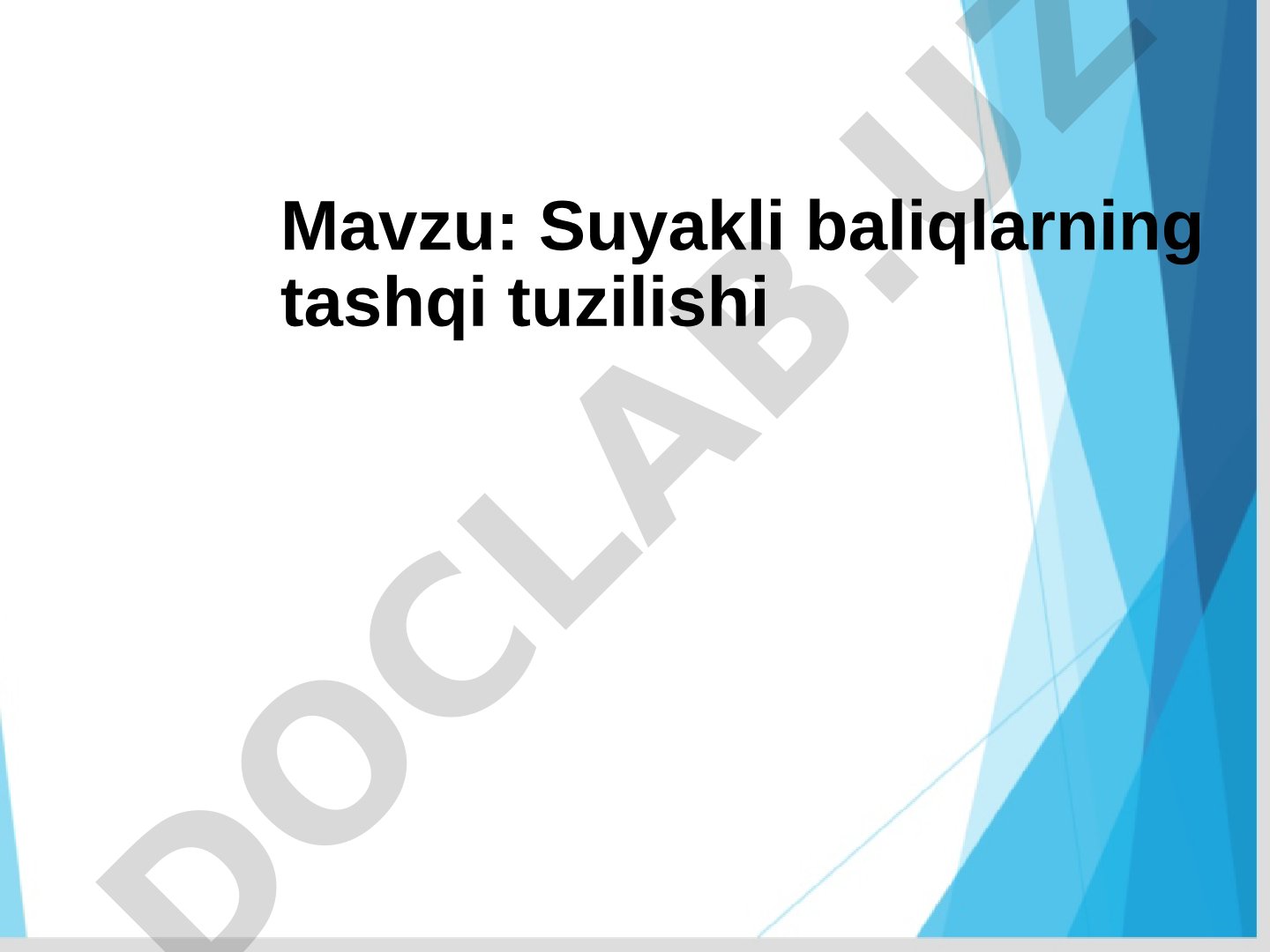 Suyakli baliqlarning tashqi tuzilishi