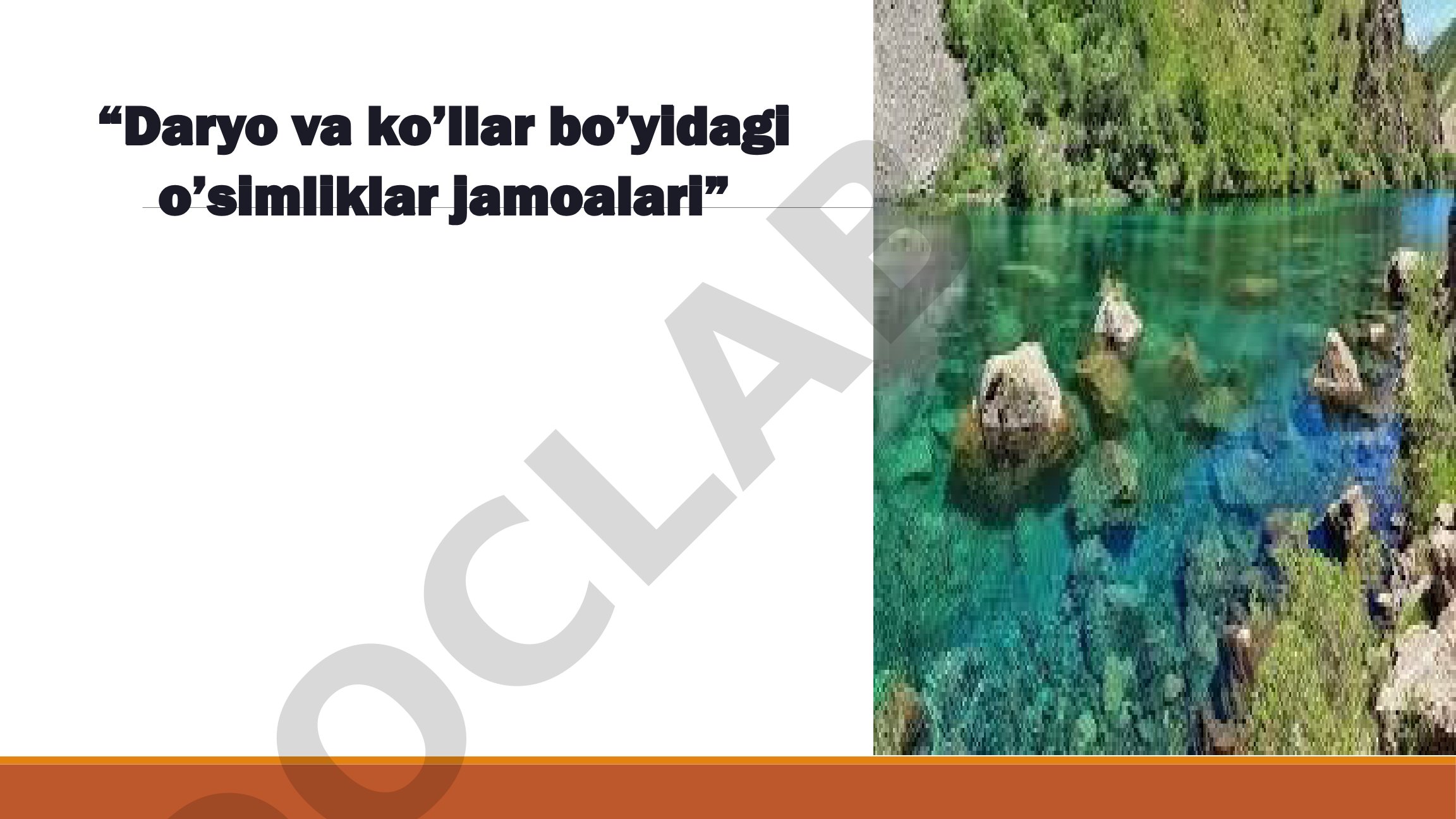 Daryo va ko'llar bo'yidagi o'simliklar jamoalari