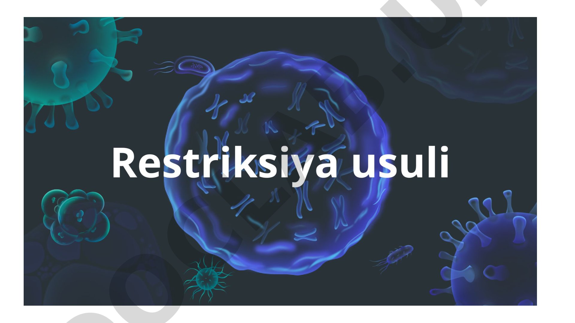 Tasvirlar to'plami