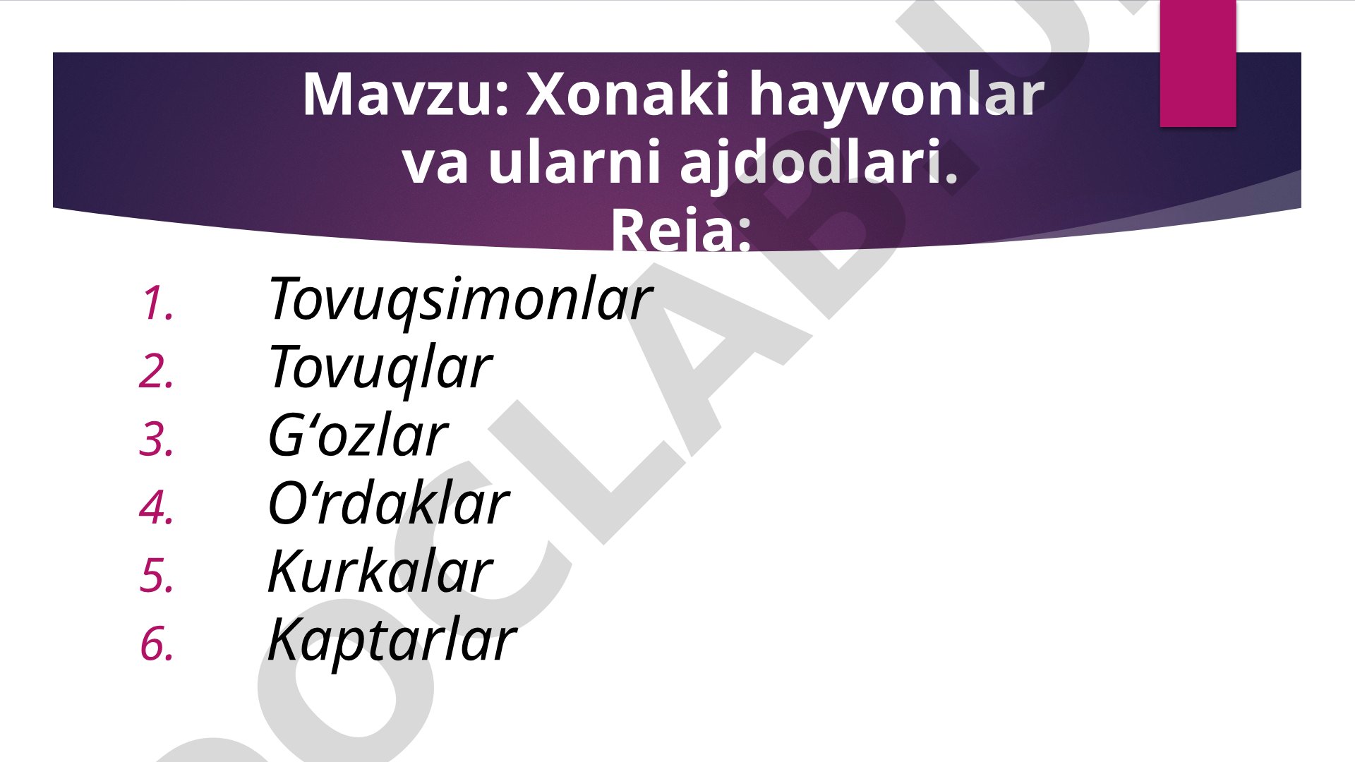 Xonaki hayvonlar va ularni ajdodlari