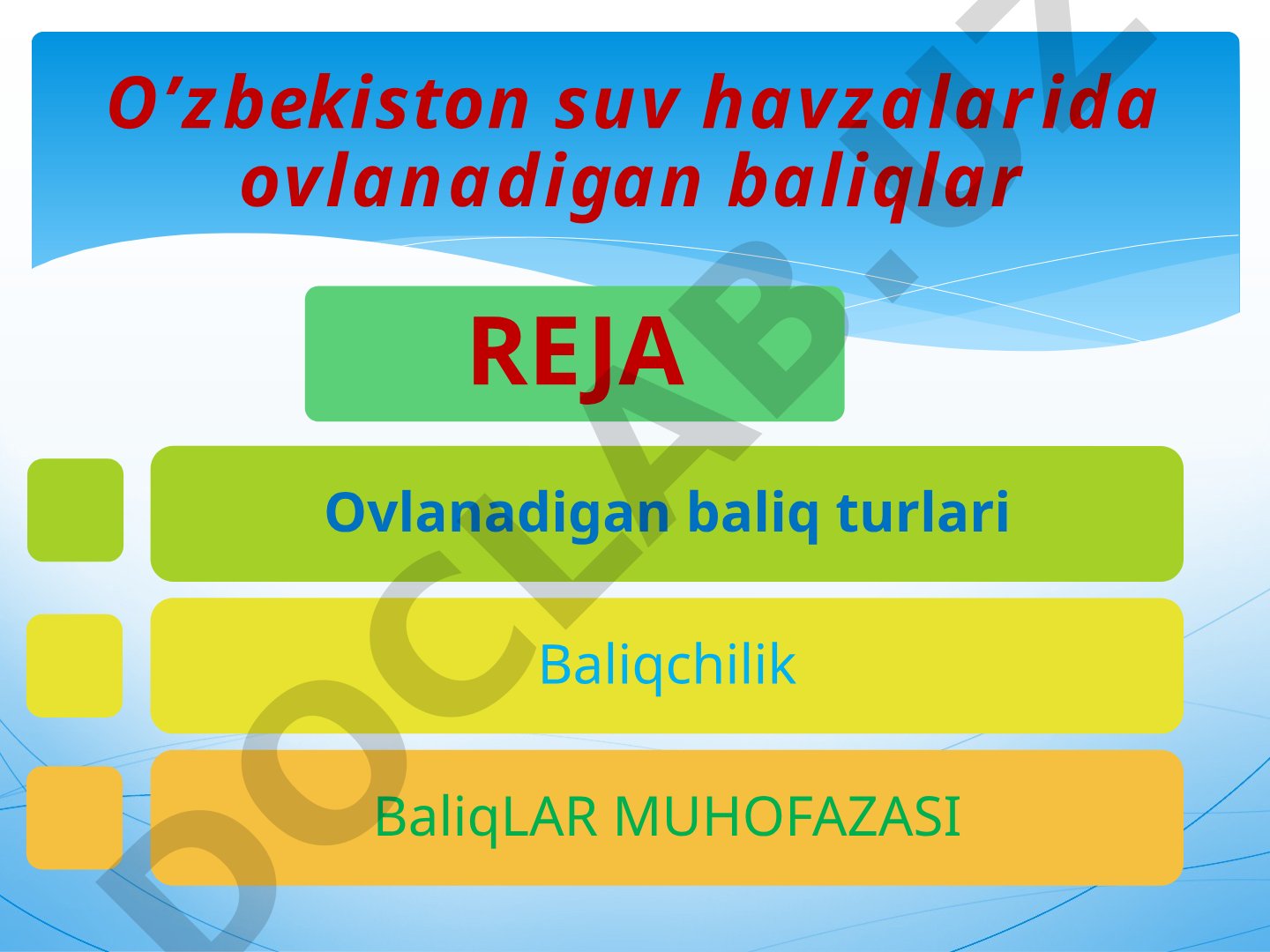 O'zbekiston suv havzalarida ovlanadigan baliqlar