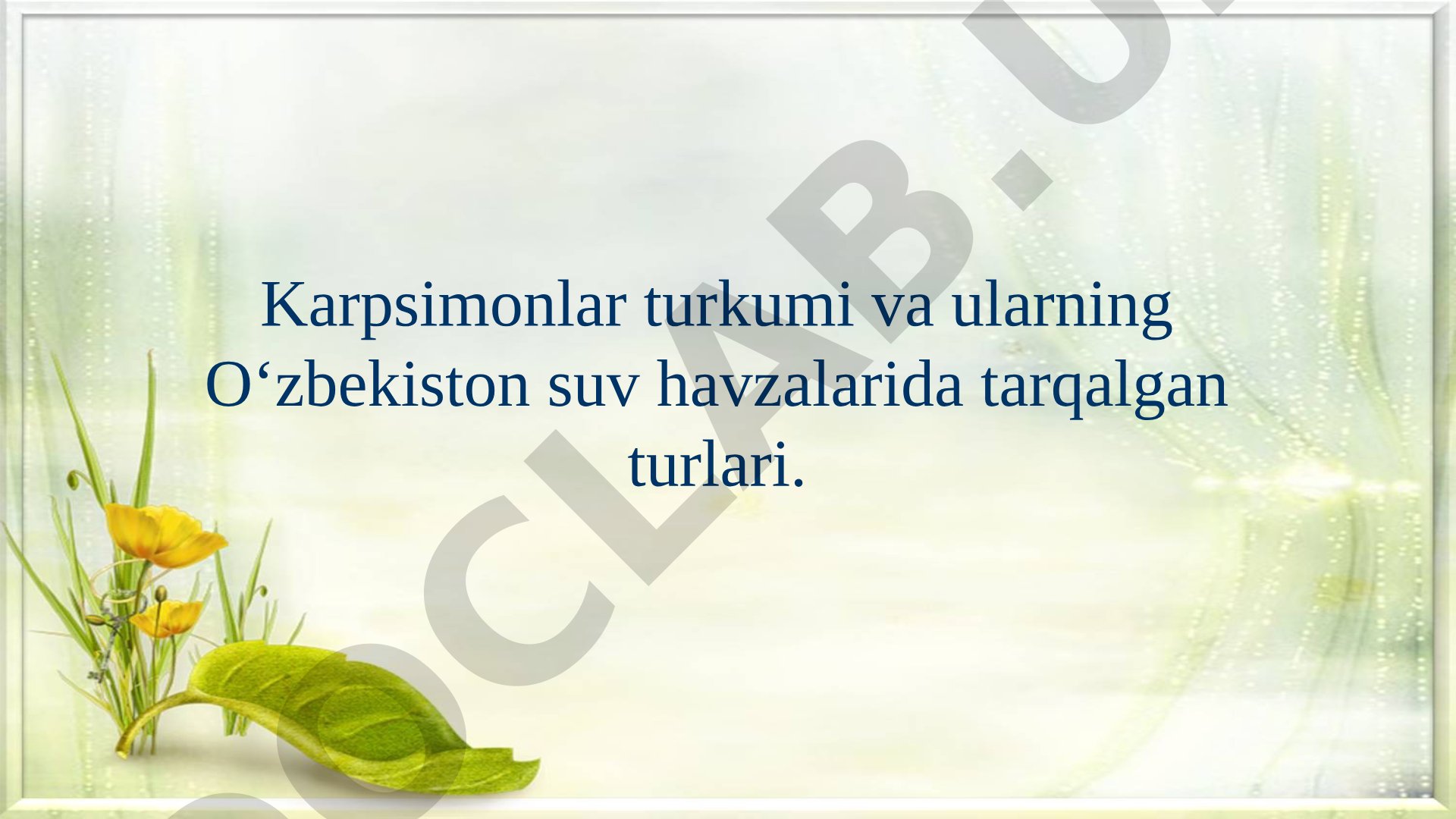 Karpsimonlar turkumi va ularning O‘zbekiston suv havzalarida tarqalgan turlari