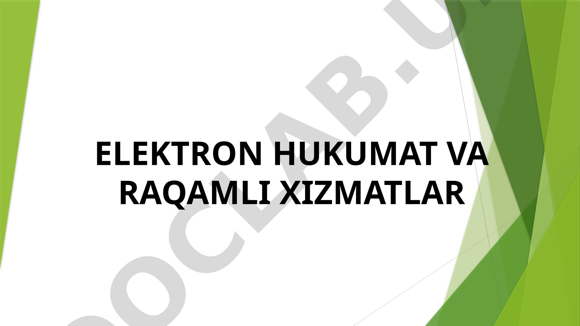 Elektron hukumat va raqamli xizmatlar