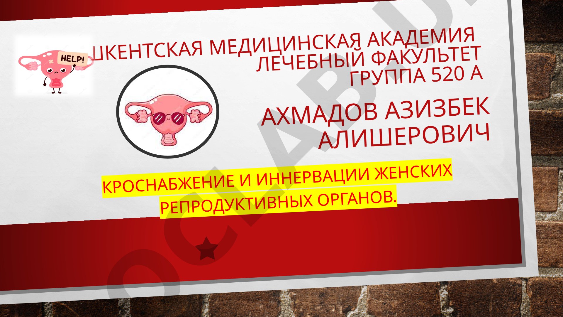 Кровоснабжение и иннервация женских репродуктивных органов