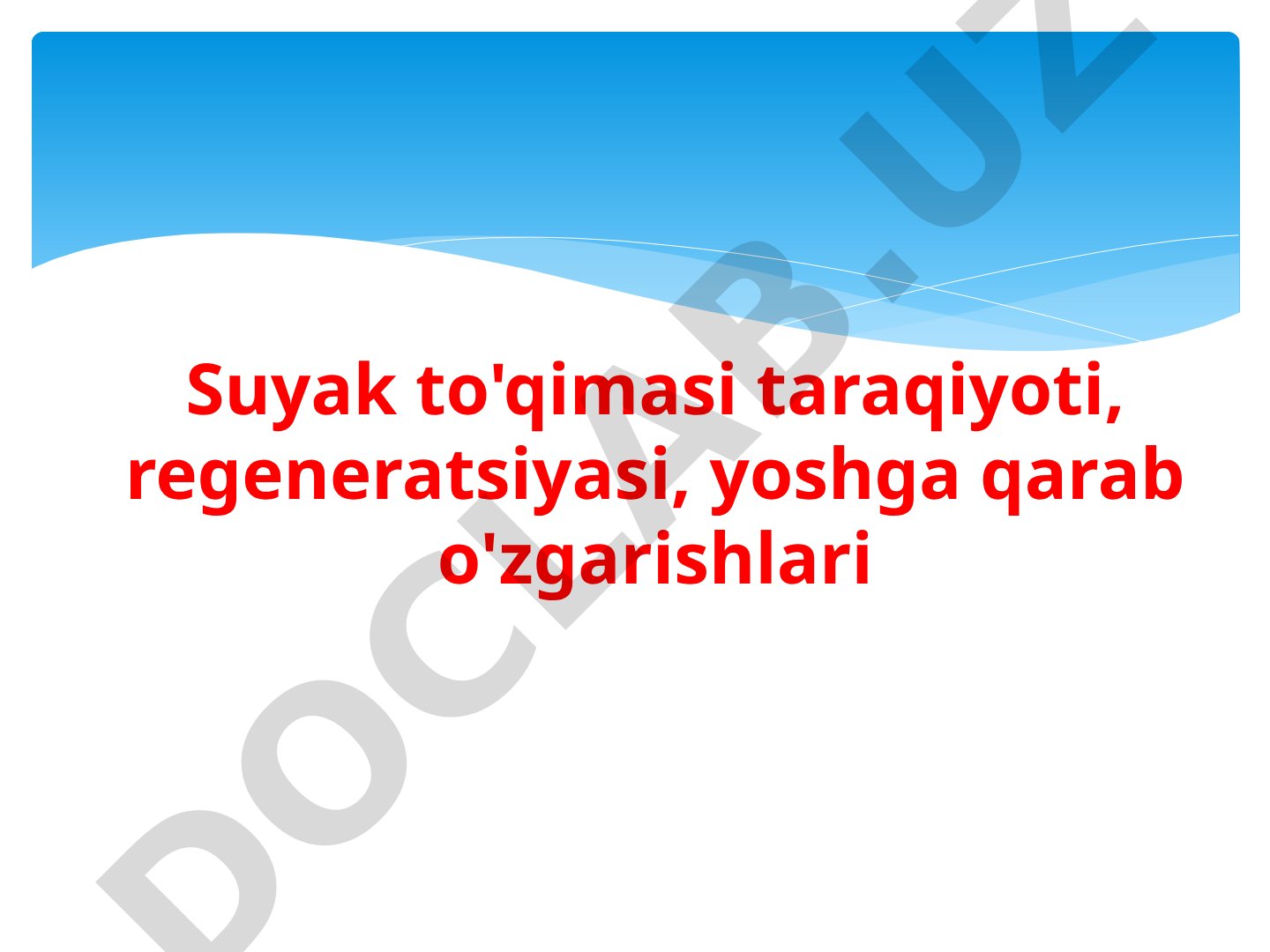 Suyak to'qimasi taraqiyoti, regeneratsiyasi, yoshga qarab o'zgarishlari