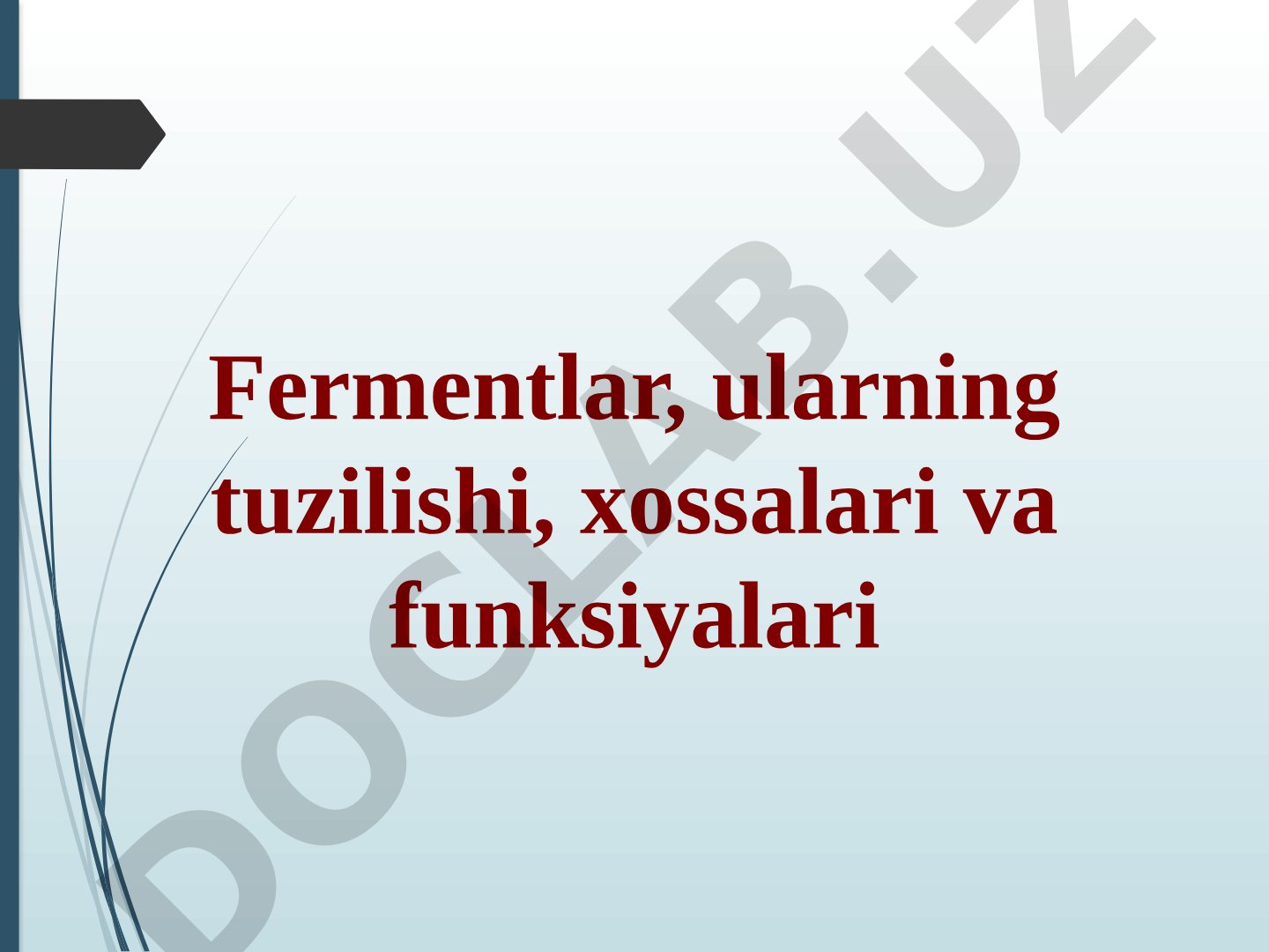 Fermentlar, ularning tuzilishi, xossalari va funksiyalari