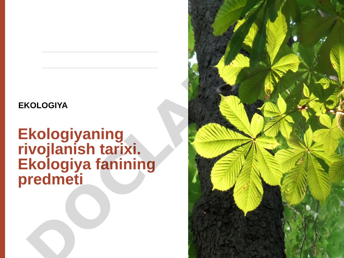 Ekologiyaning rivojlanish tarixi va fanining predmeti