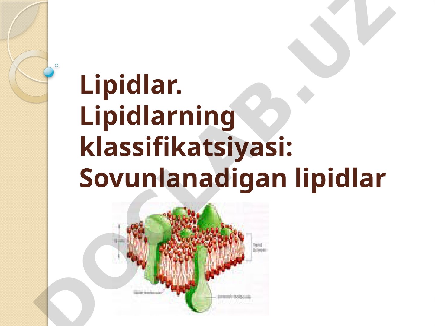 Lipidlar va ularning klassifikatsiyasi