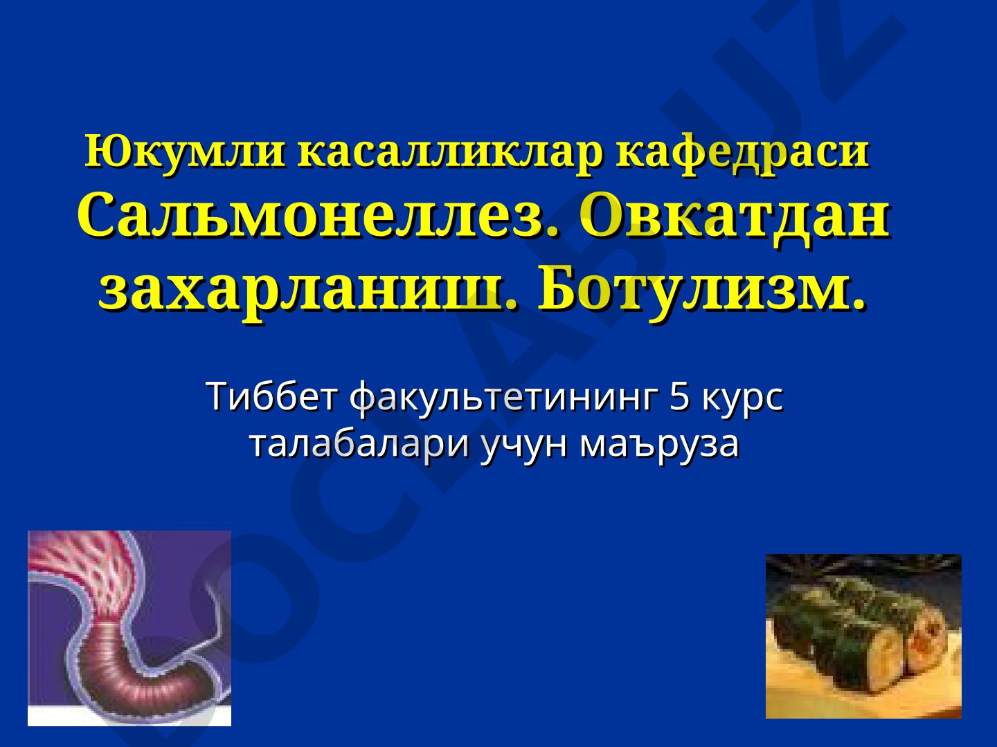 Сальмонеллез. Овкатдан захарланиш. Ботулизм