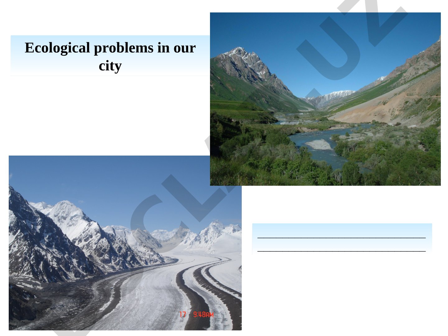 Ecological problems in our city