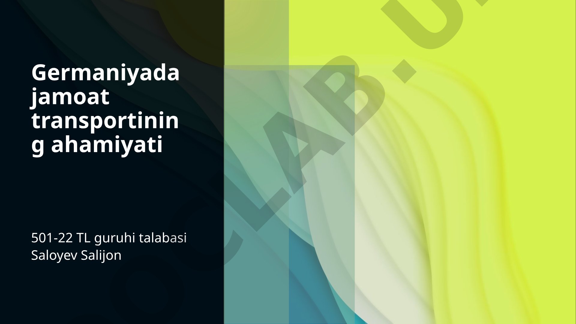 Germaniyada jamoat transportining ahamiyati