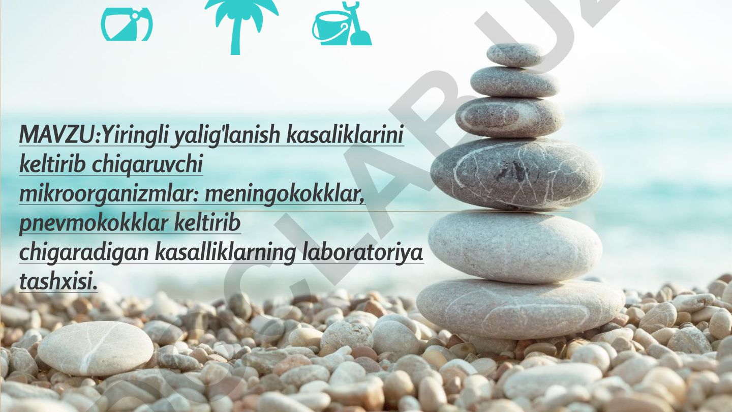 Yiringli yalig'lanish kasaliklarini keltirib chiqaruvchi mikroorganizmlar: meningokokklar, pnevmokokklar keltirib chigaradigan kasalliklarning laboratoriya tashxisi