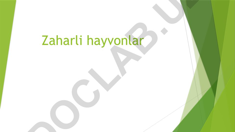 Zaharli hayvonlar: Chayon va Qoraqurt haqida