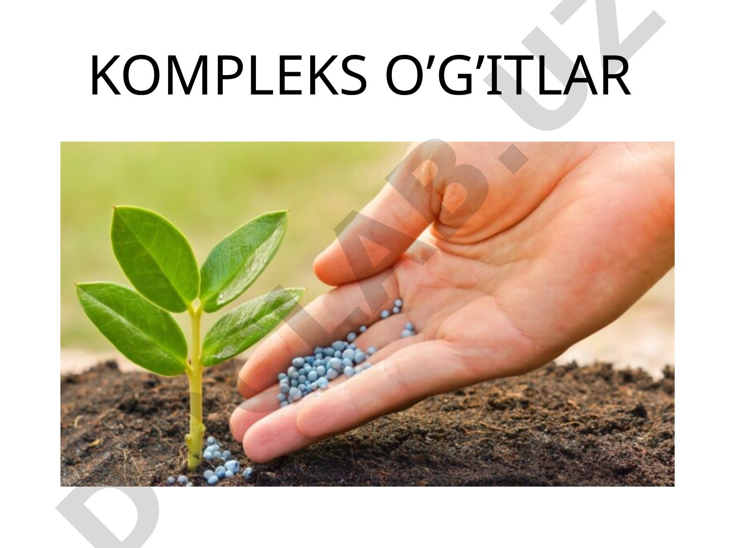 Kompleks o'g'itlar: Ammofos va Sulfoammofos