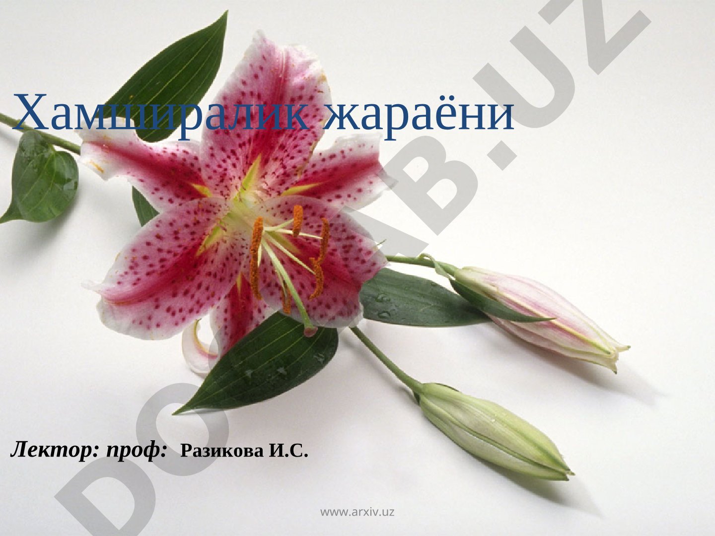 Хамширалик жараёни