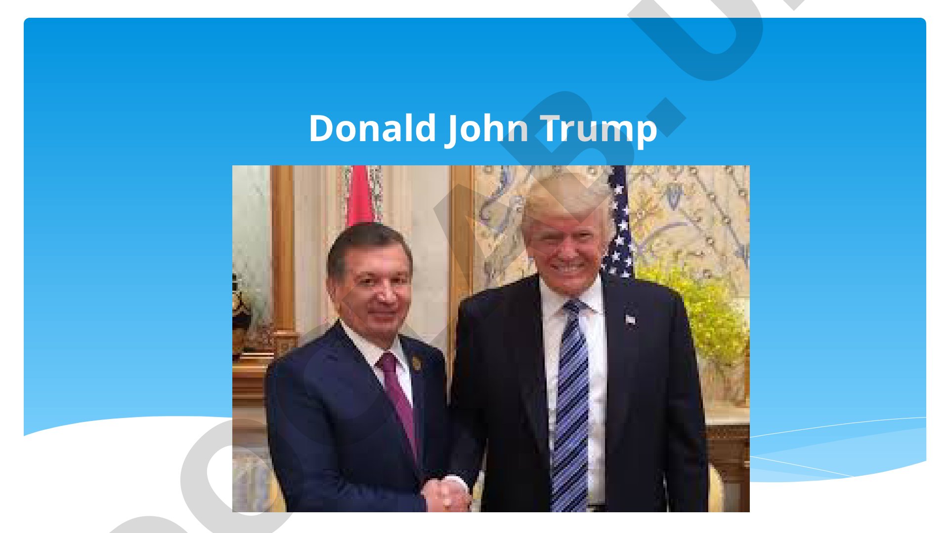 Donald Trump - 45th President of the United States