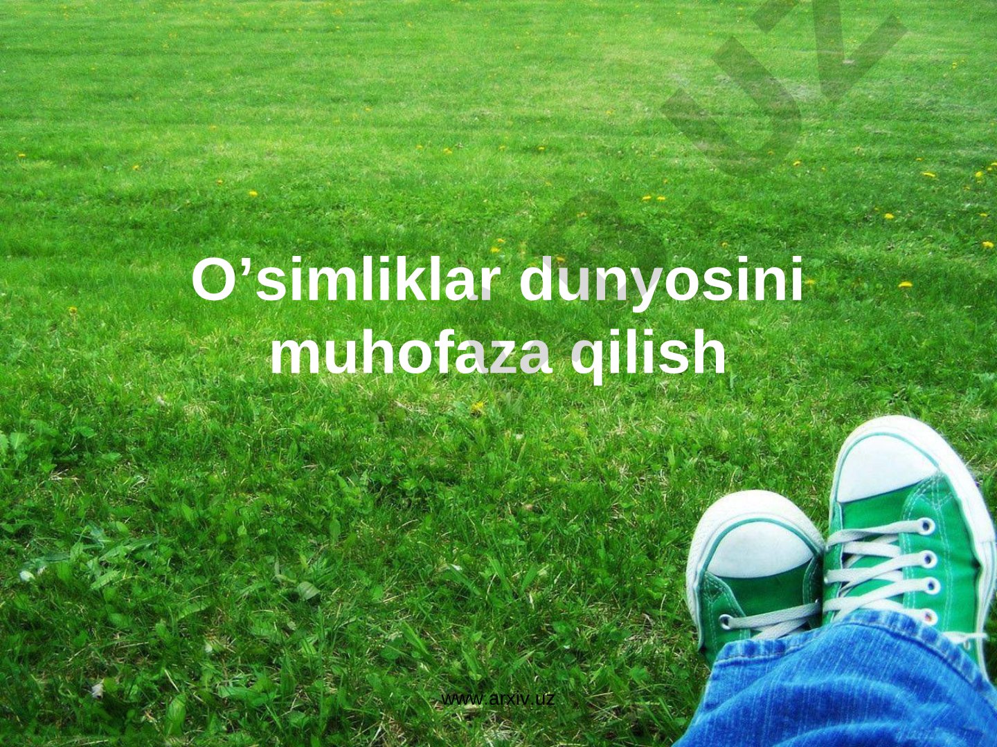 O'simliklar dunyosini muhofaza qilish