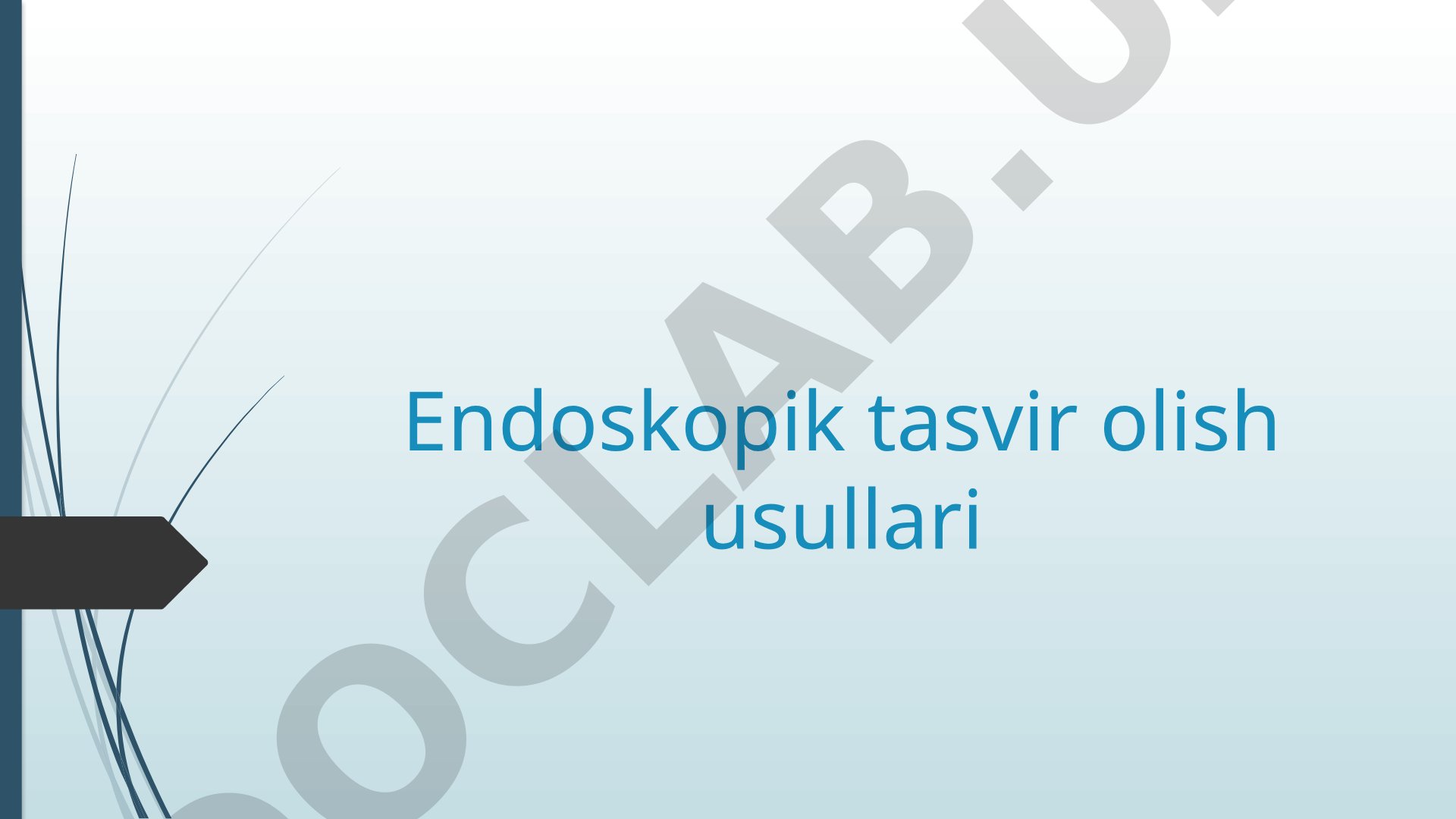 Endoskopik tasvir olish usullari