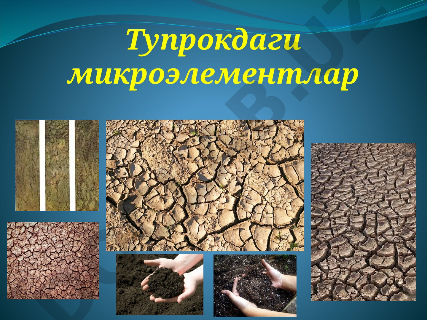 Тупрокдаги микроэлементлар