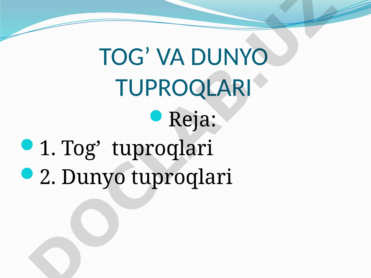 Tog' va dunyo tuproqlari