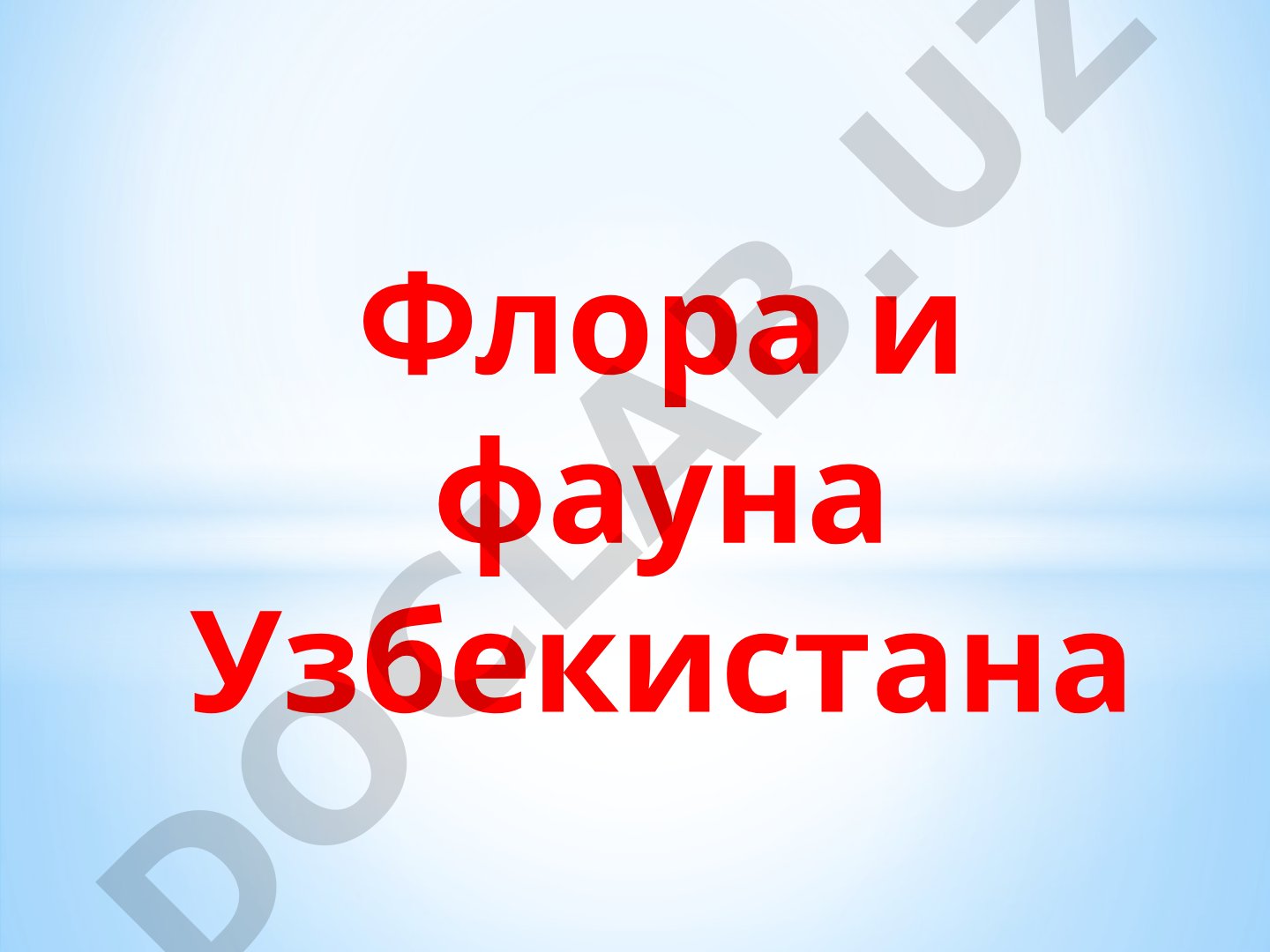 Флора и фауна Узбекистана
