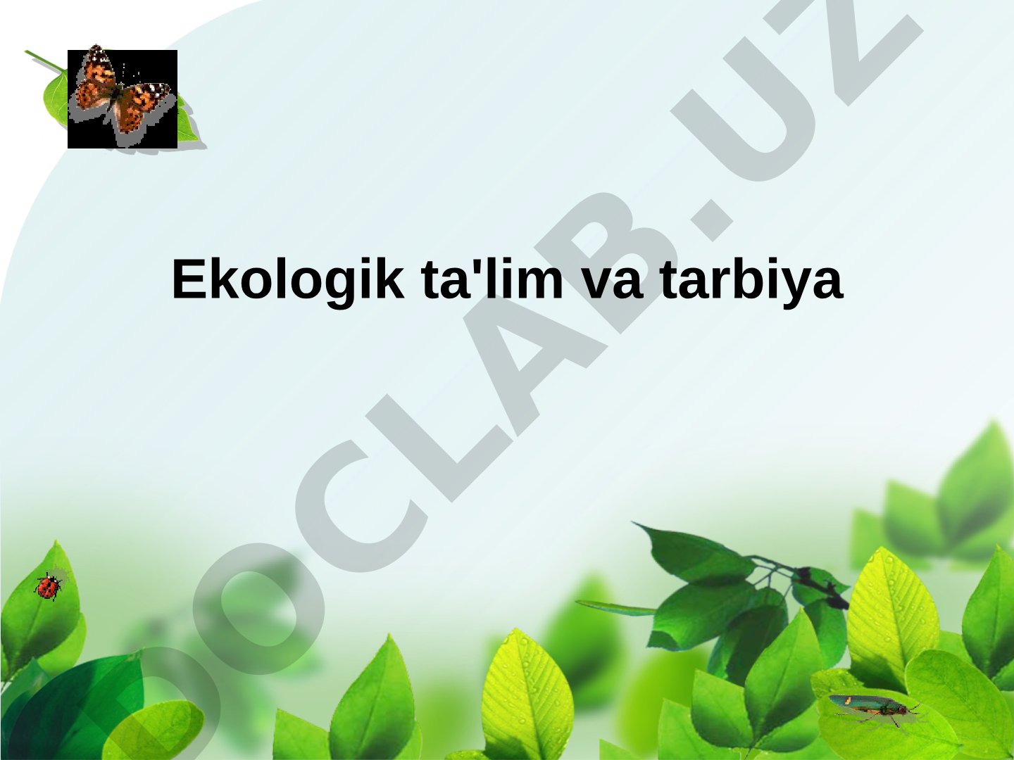 Ekologik ta'lim va tarbiya
