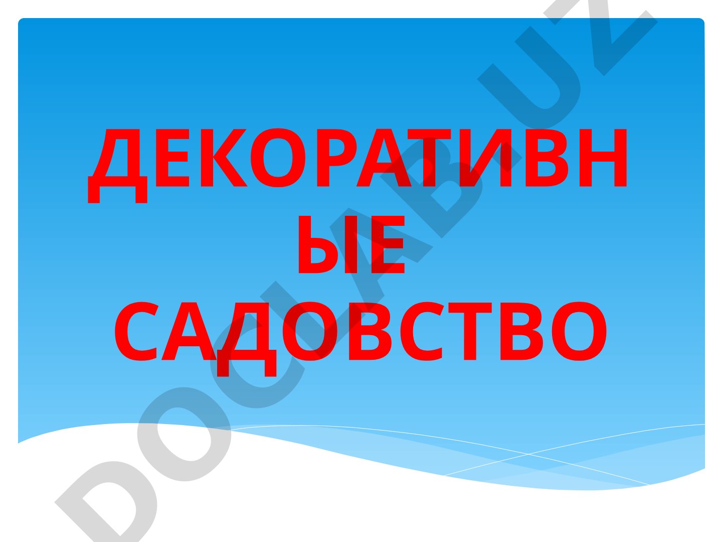 Декоративное садоводство
