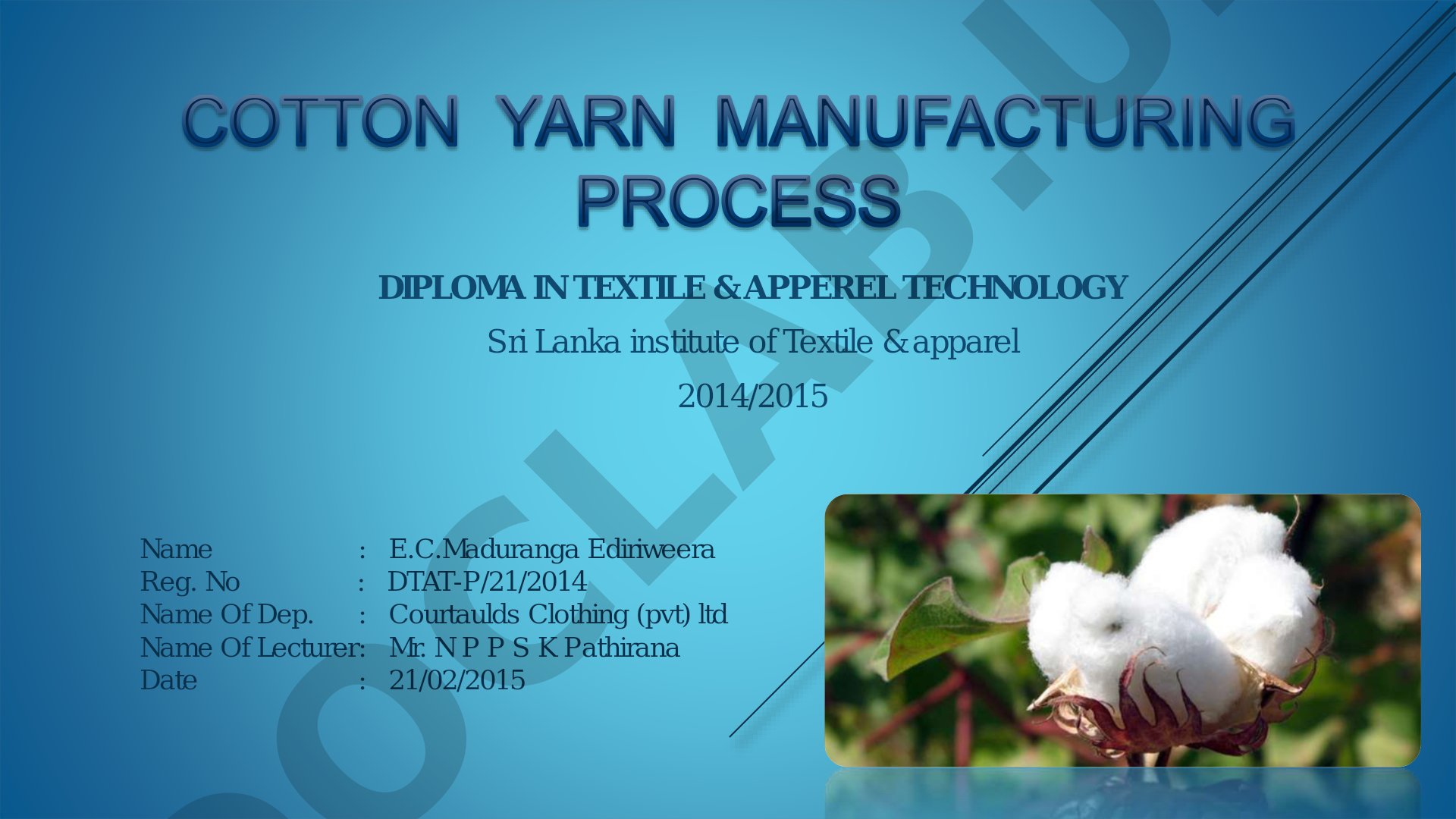 Cotton: Plant, Fiber, and History