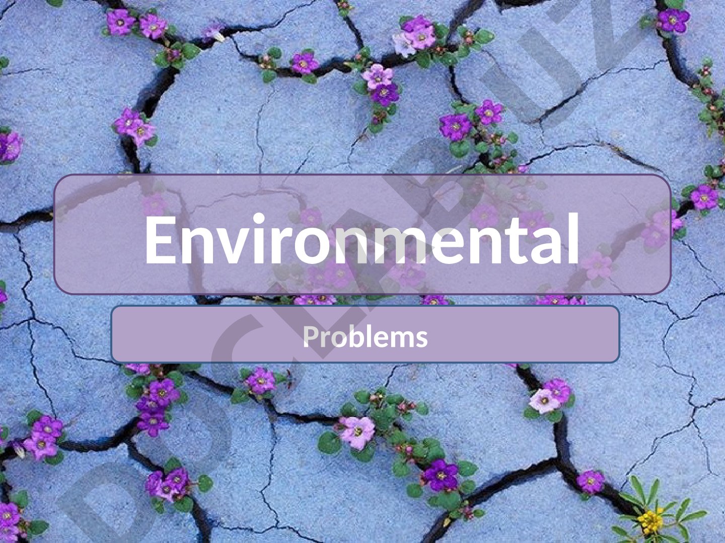 Environmental Problems and Ecology