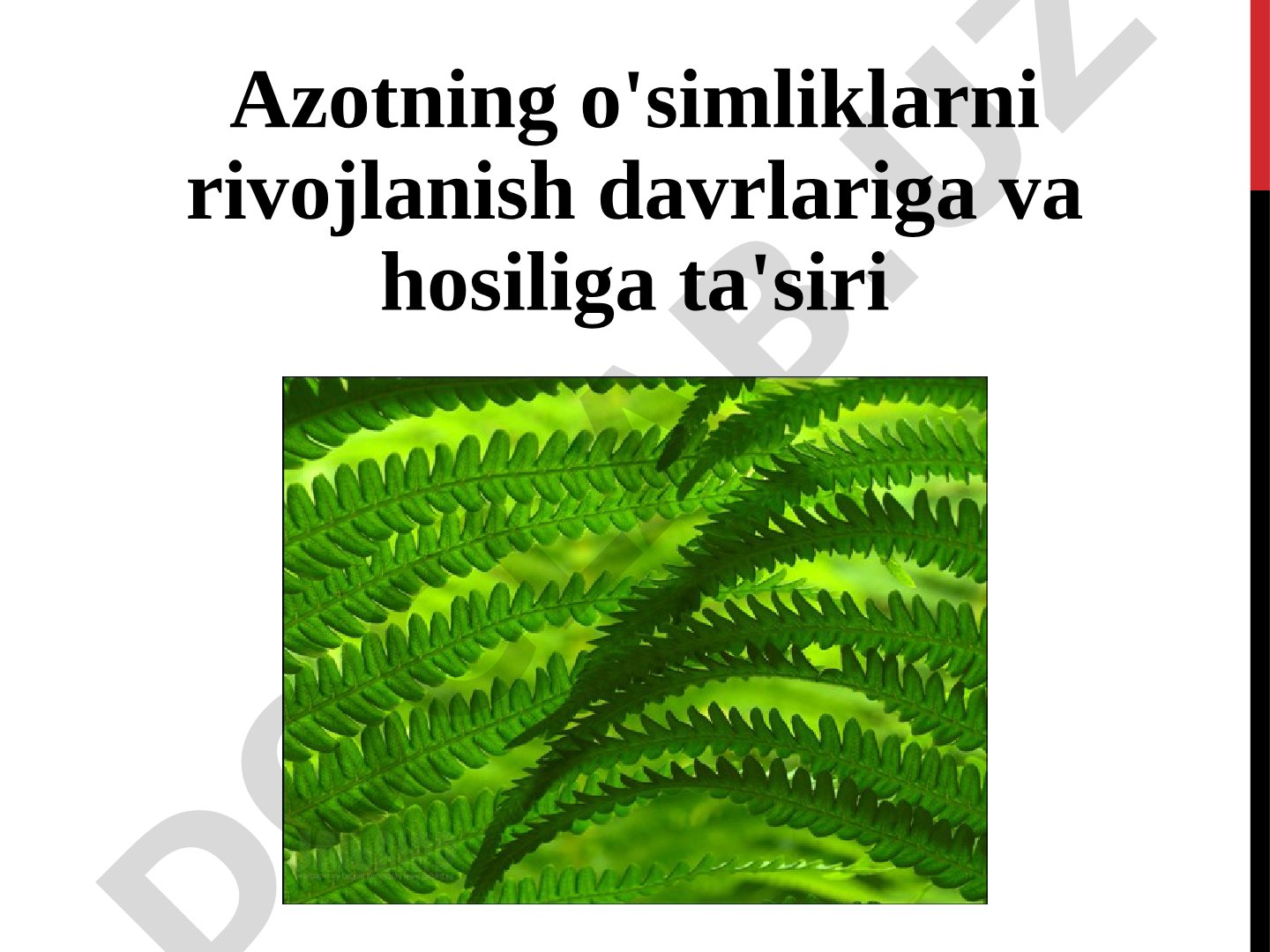 Azotning o'simliklarni rivojlanish davrlariga va hosiliga ta'siri