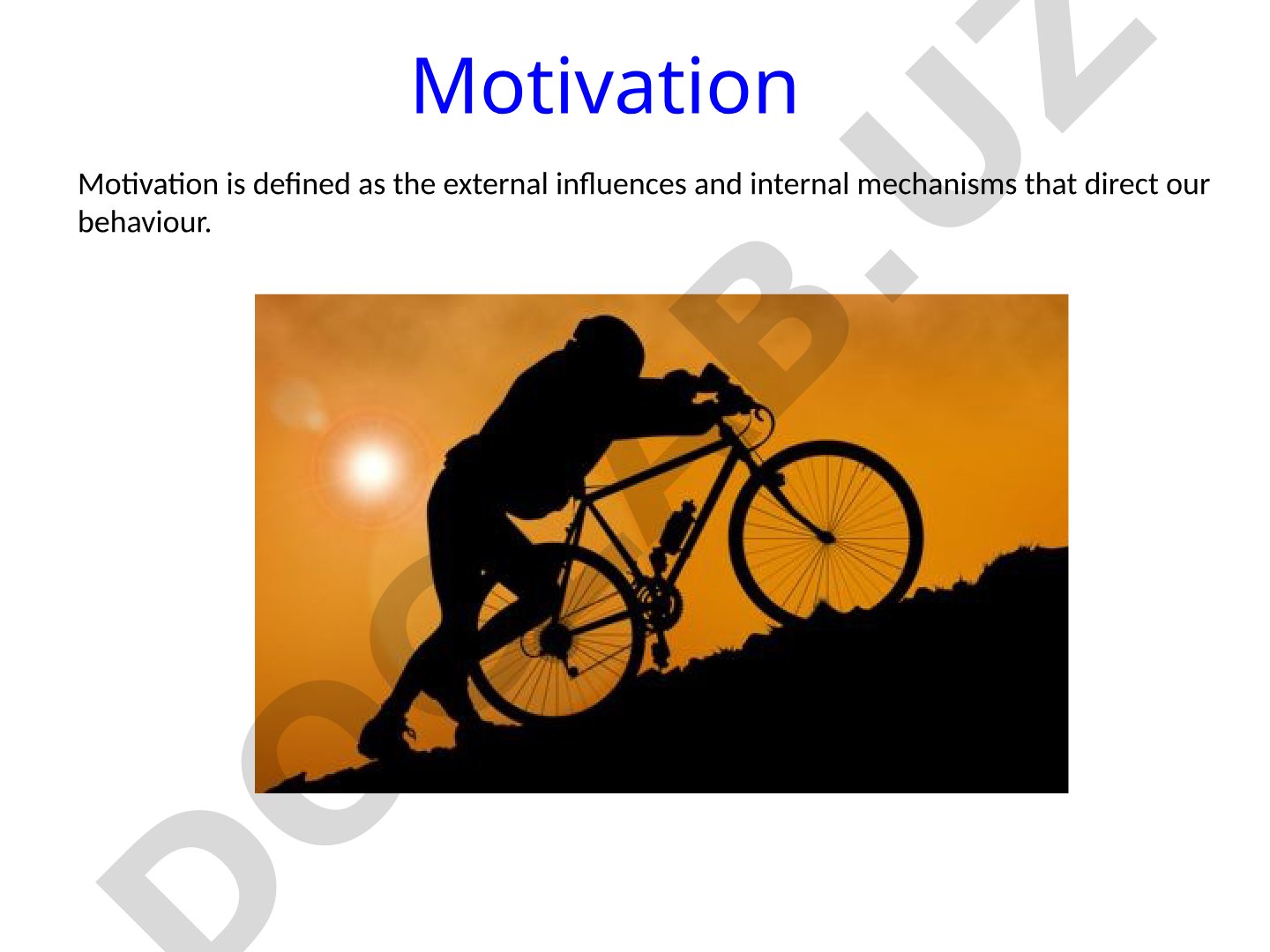 Motivation in Sports Performance