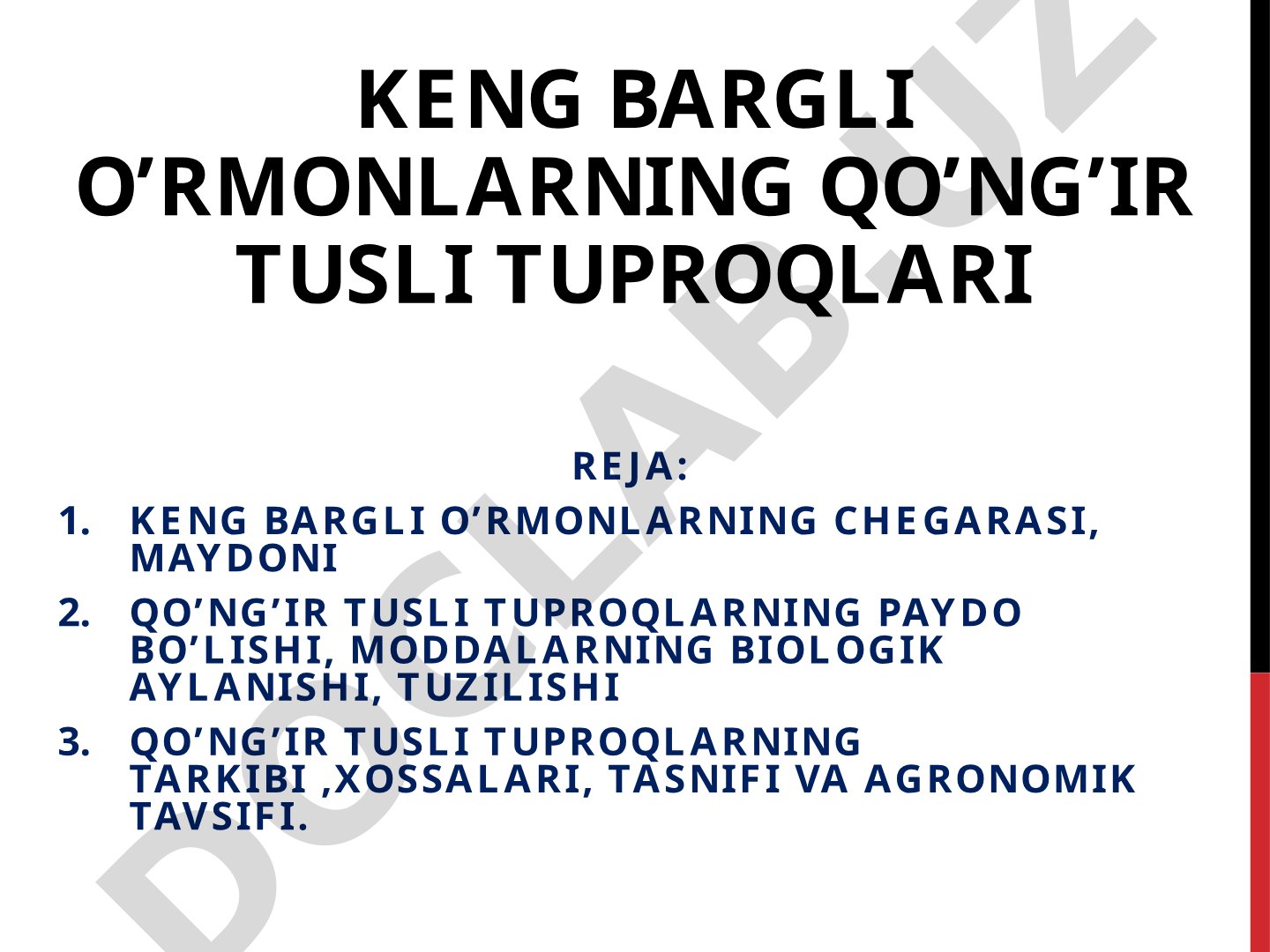 Keng bargli o'rmonlarning qo'ng'ir tusli tuproqlari