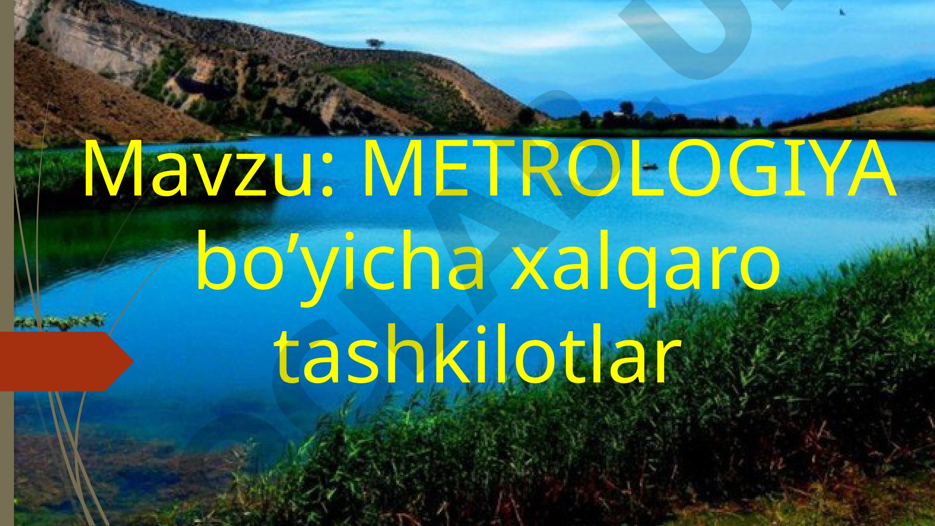 Metrologiya bo'yicha xalqaro tashkilotlar