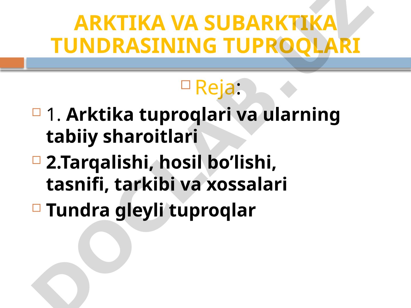 Arktika va subarktika tundrasining tuproqlari