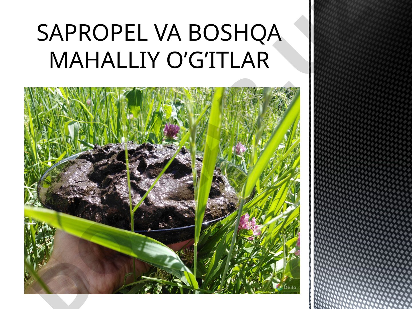 Sapropel va boshqa mahalliy o'g'itlar tarkibi va ta'siri