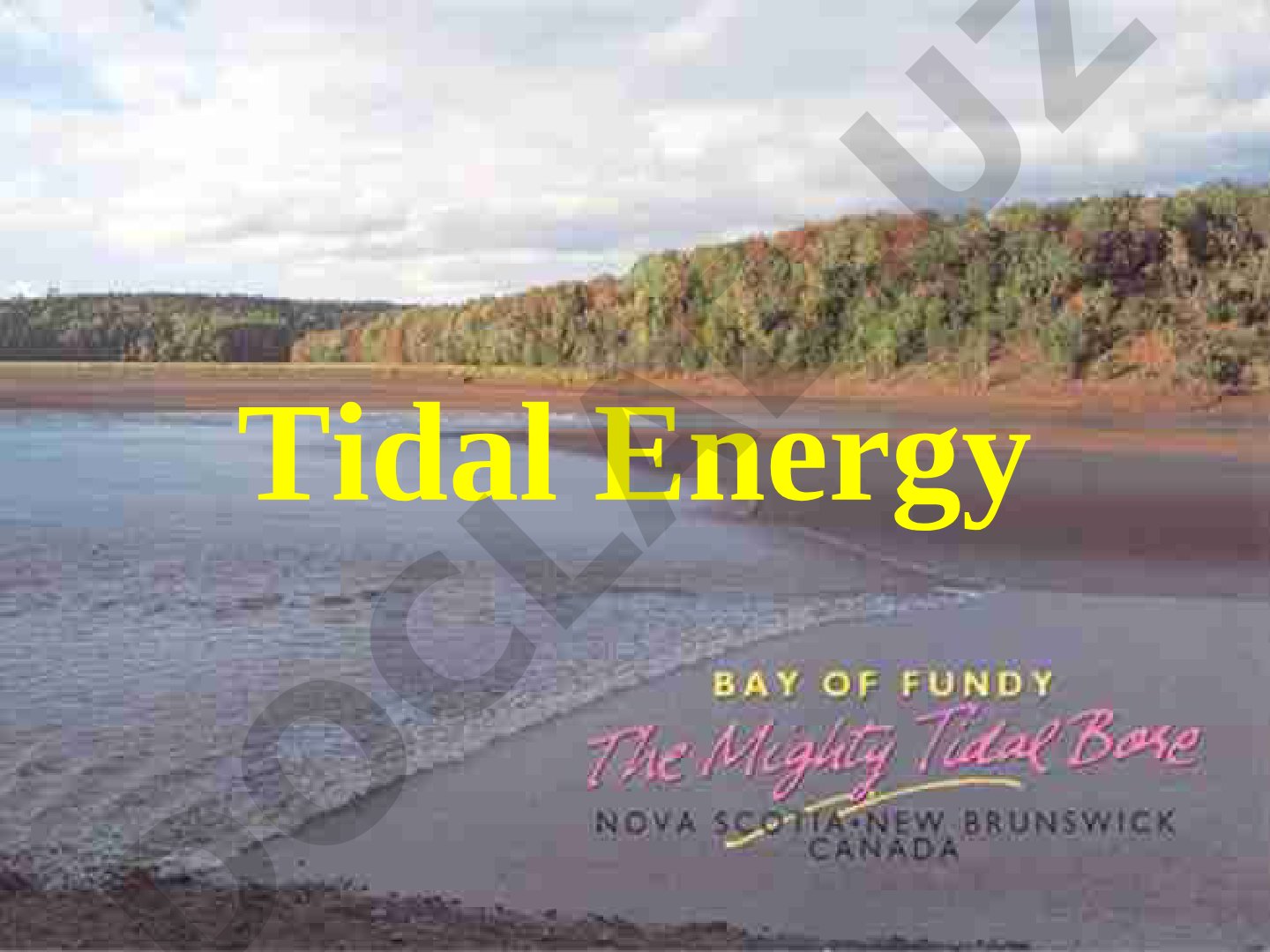 Tidal Energy Energy from the moon