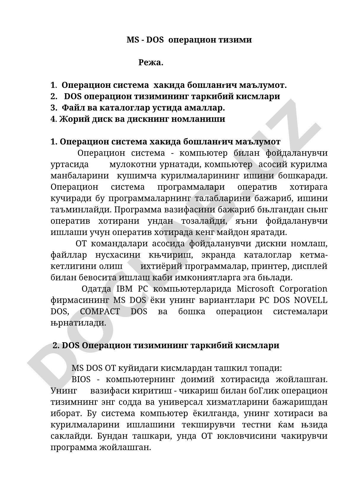 MS-DOS операцион тизими