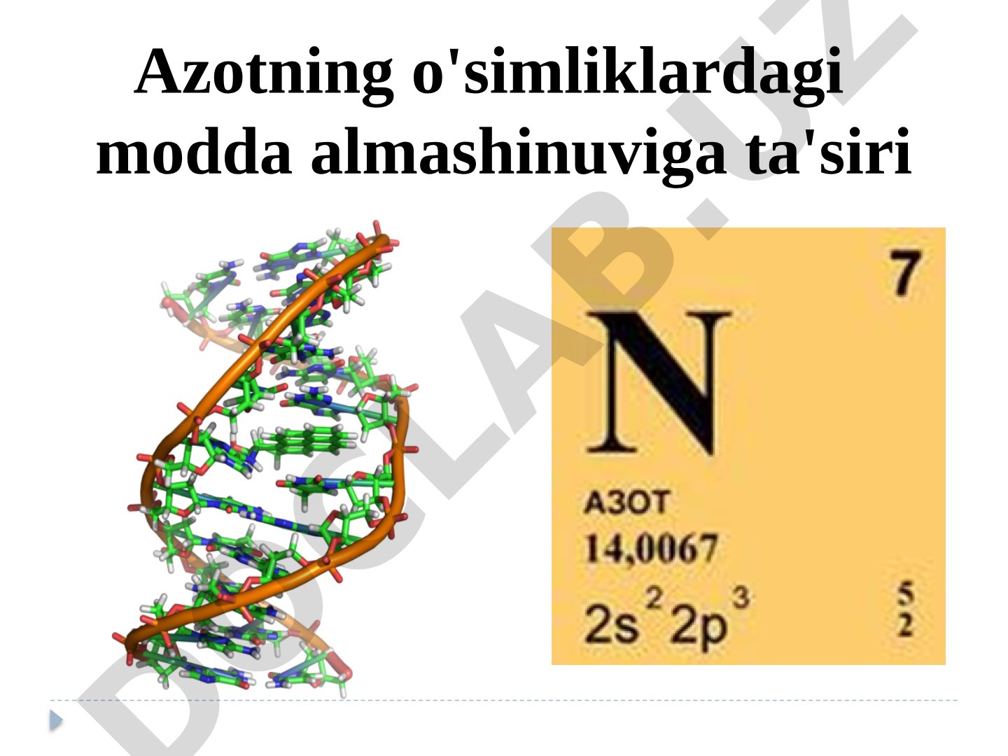 Azotning o'simliklardagi modda almashinuviga ta'siri