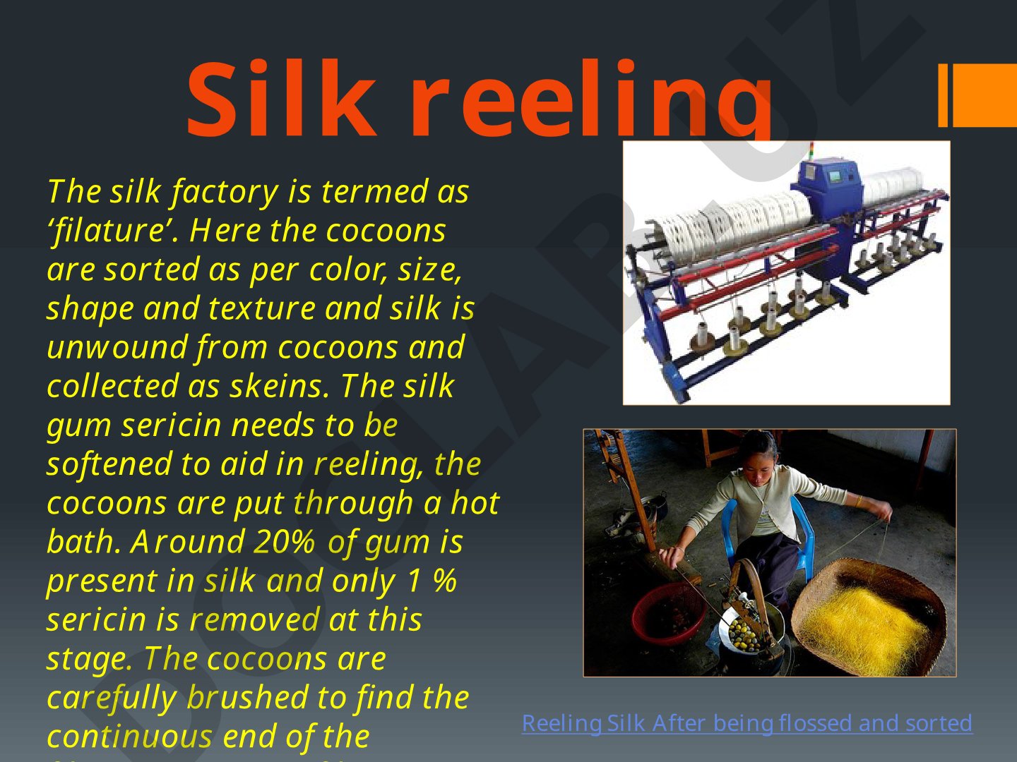 Silk reeling and throwing process