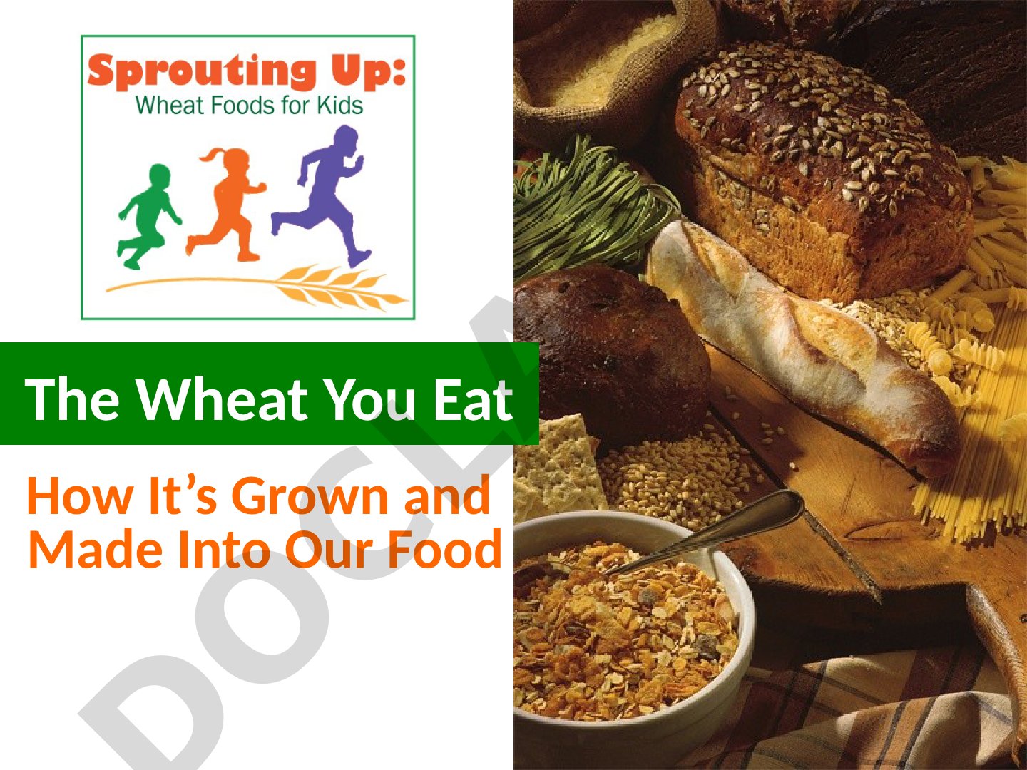 The Wheat You Eat: How It’s Grown and Made Into Our Food