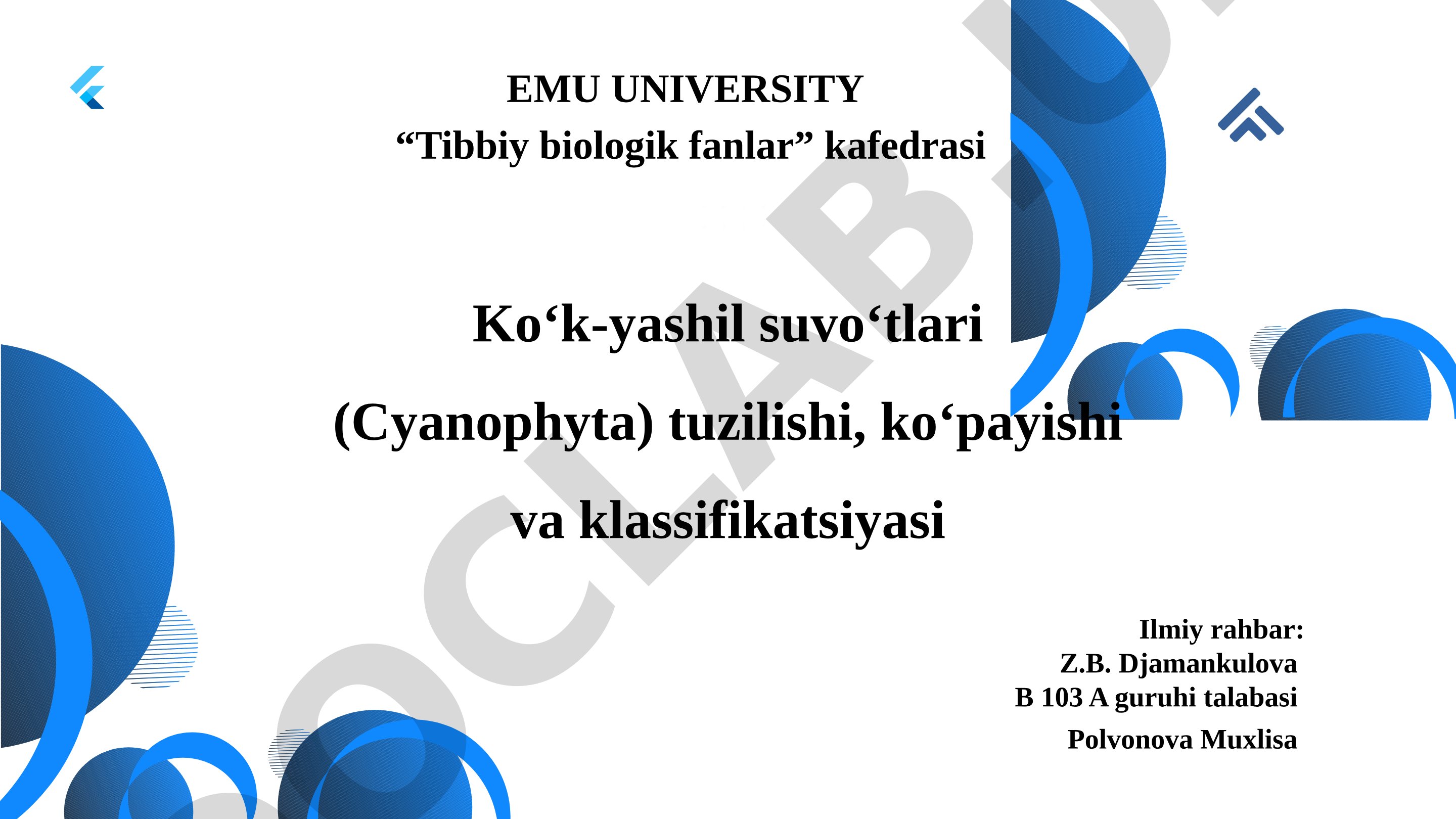 Ko‘k-yashil suvo‘tlari (Cyanophyta) tuzilishi, ko‘payishi va klassifikatsiyasi