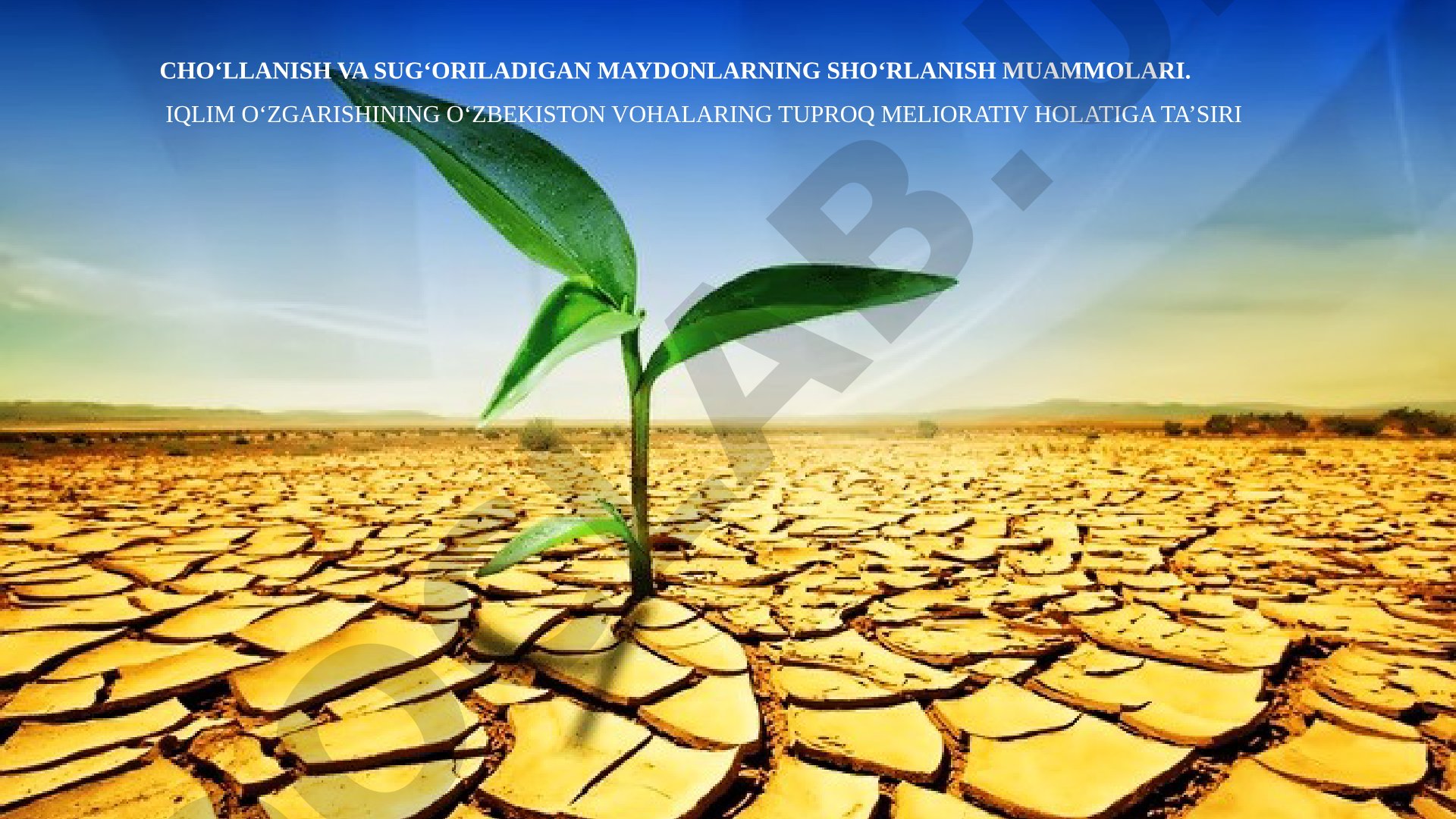 Cho‘llanish va sug‘oriladigan maydonlarning sho‘rlanish muammolari