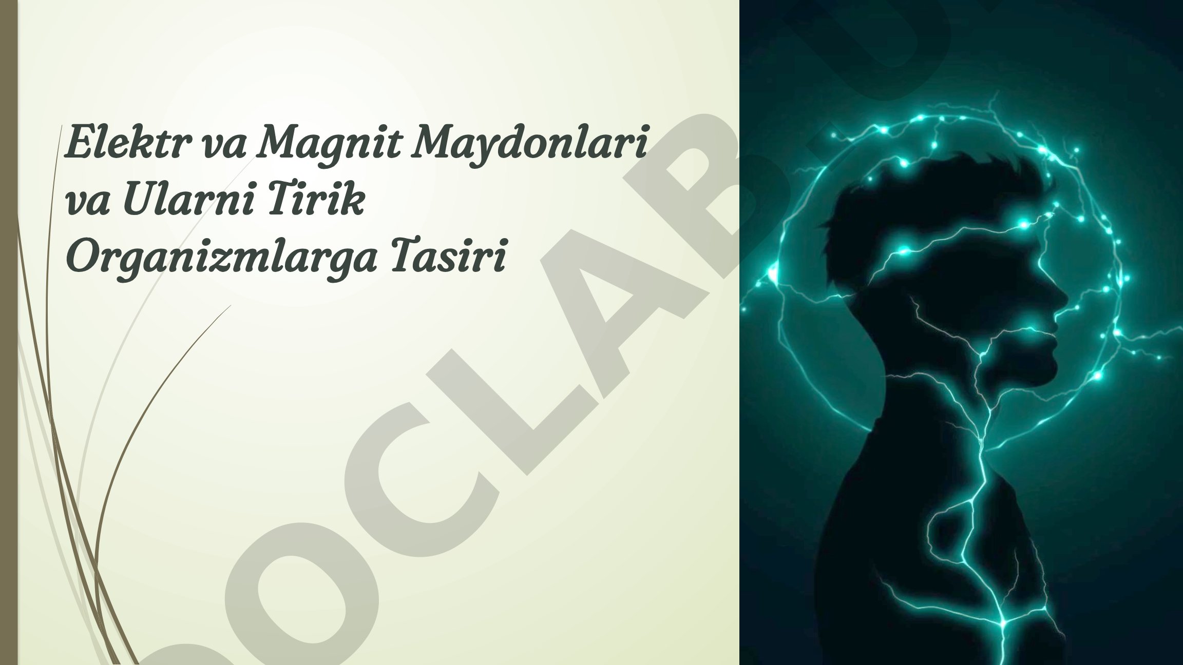 Elektr va Magnit Maydonlari va Ularni Tirik Organizmlarga Tasiri
