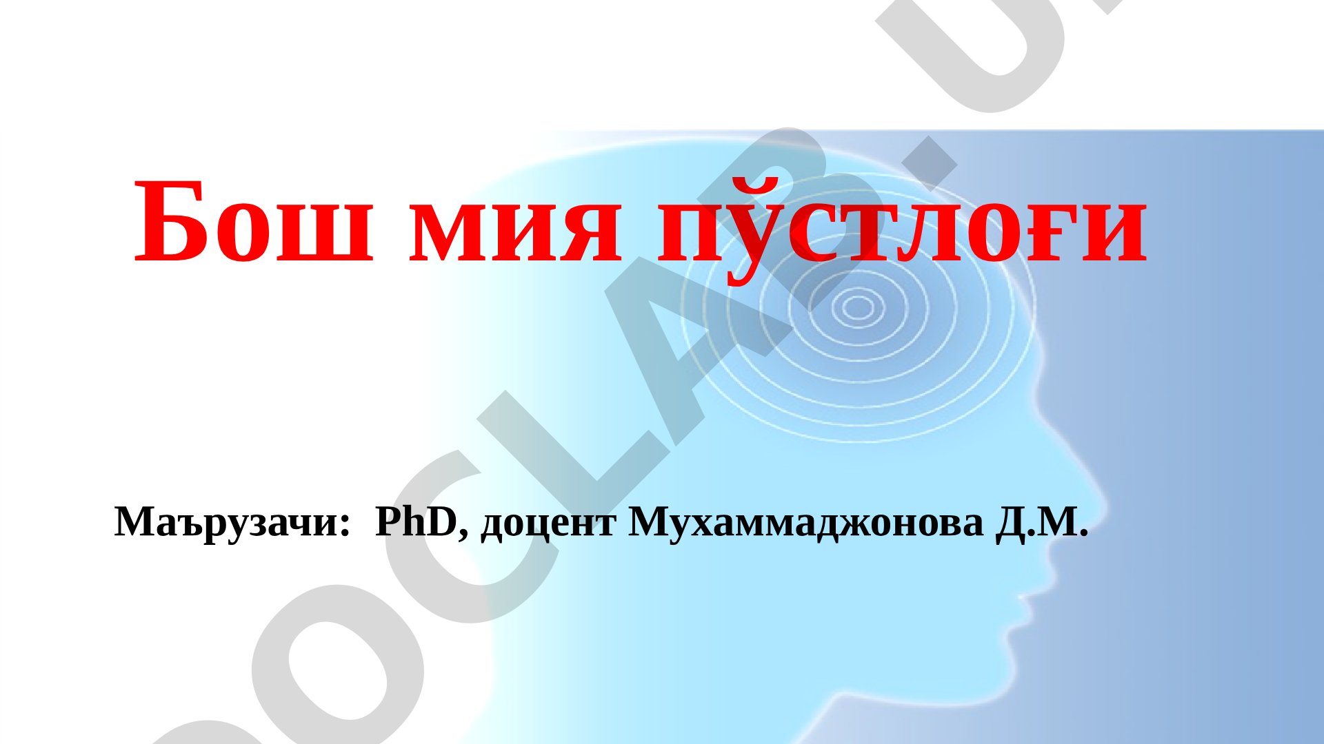 Бош мия пўстлоғи