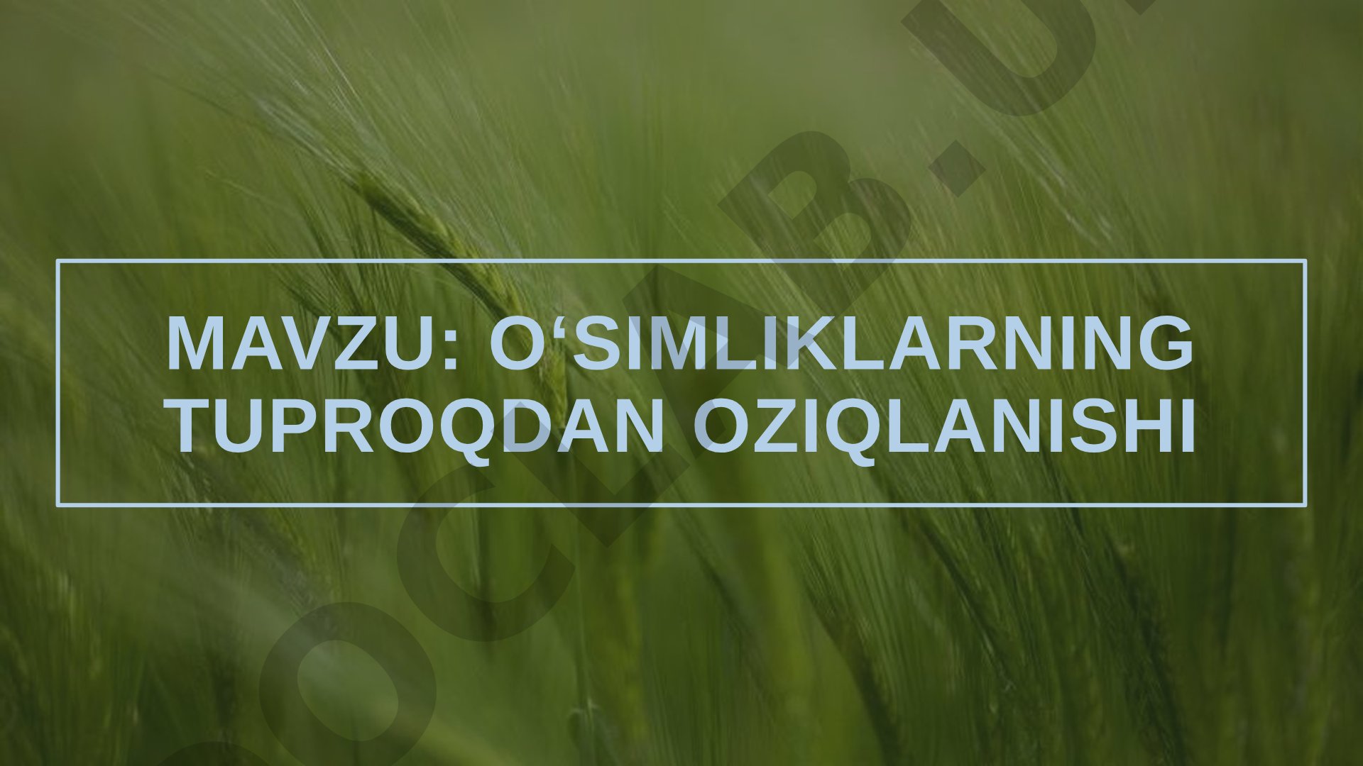 O'simliklarning tuproqdan oziqlanishi