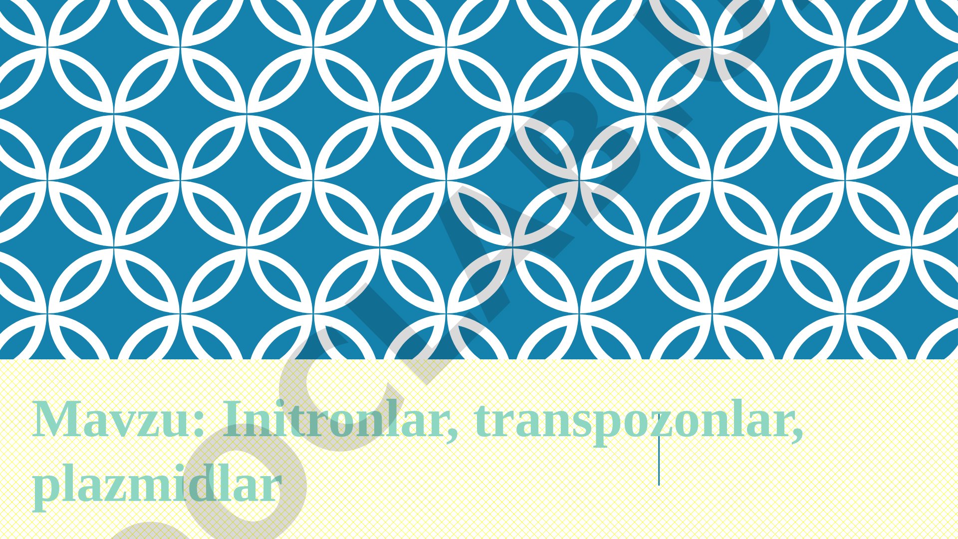 Intronlar, Transpozonlar, Plazmidlar
