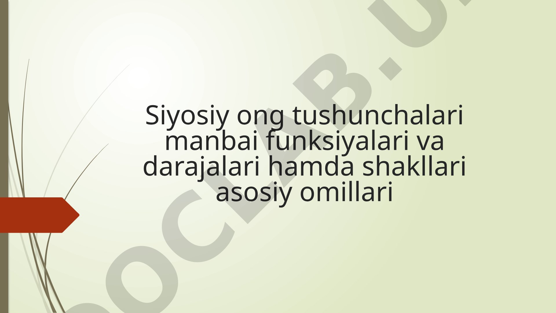 Siyosiy Ong Tushunchasi