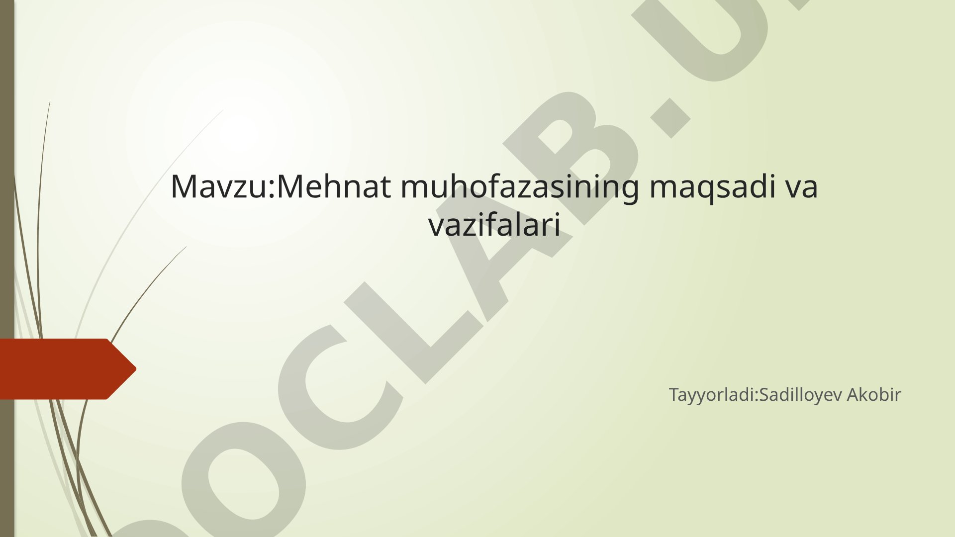 Mehnat Muhofazasi Rejasi