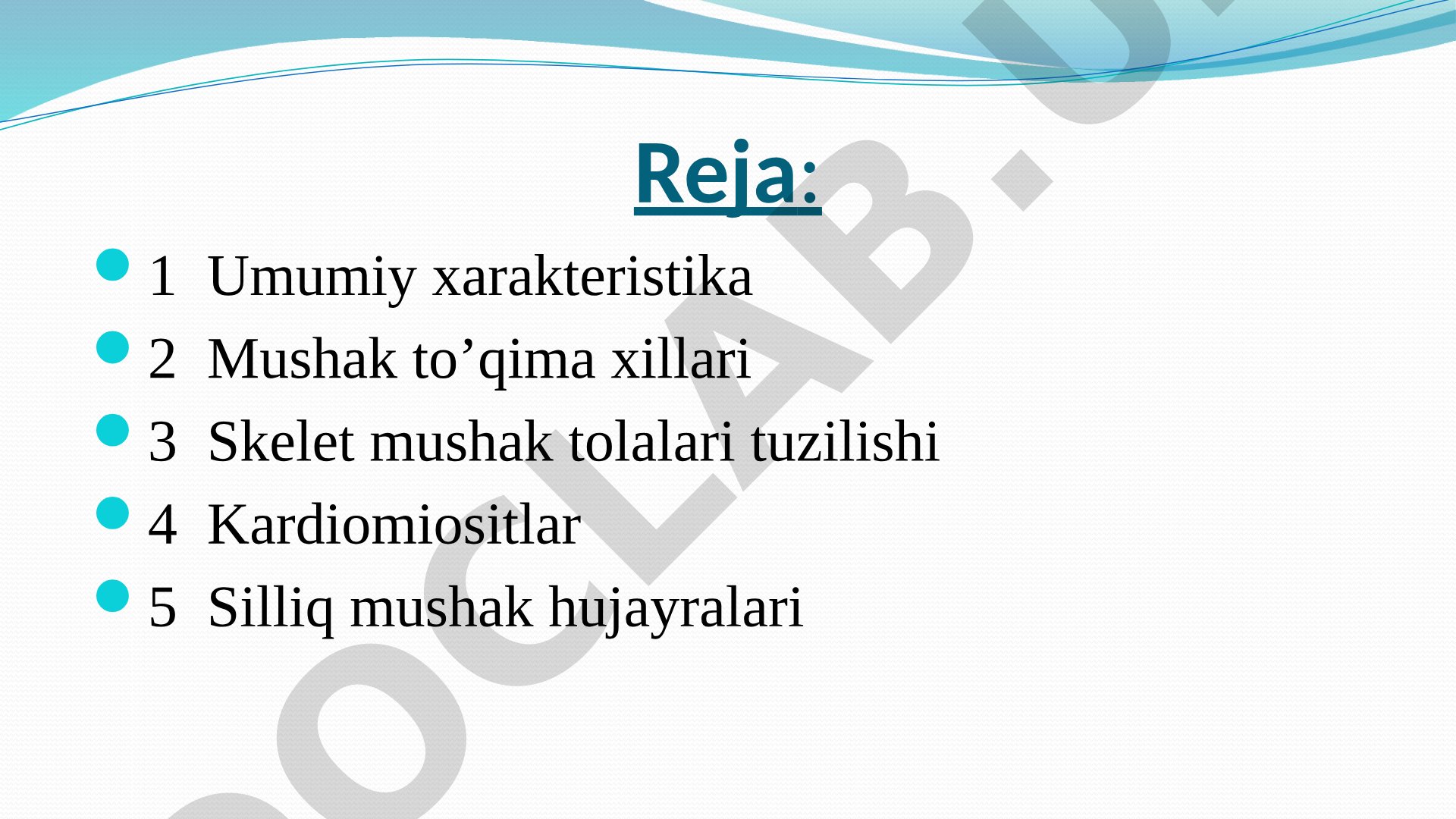 Mushak To'qimasi Tuzilishi