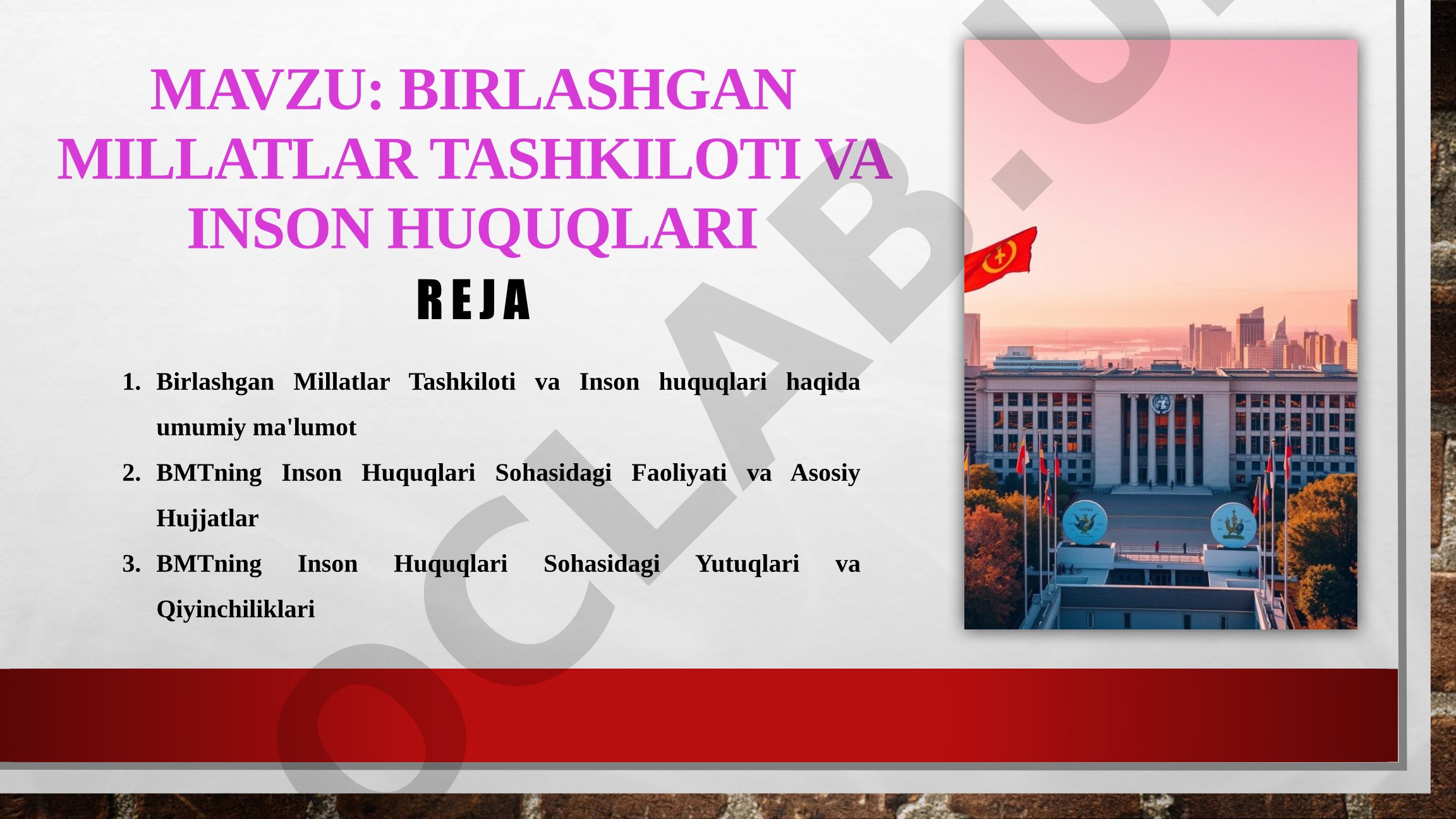 BMT va Inson Huquqlari Reja